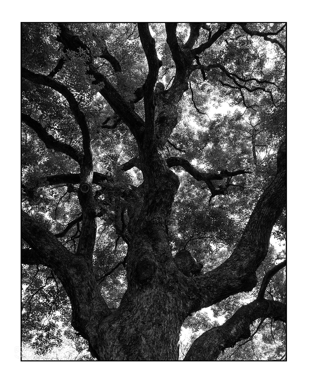 Samsung NX1000 sample photo. Point of view photography