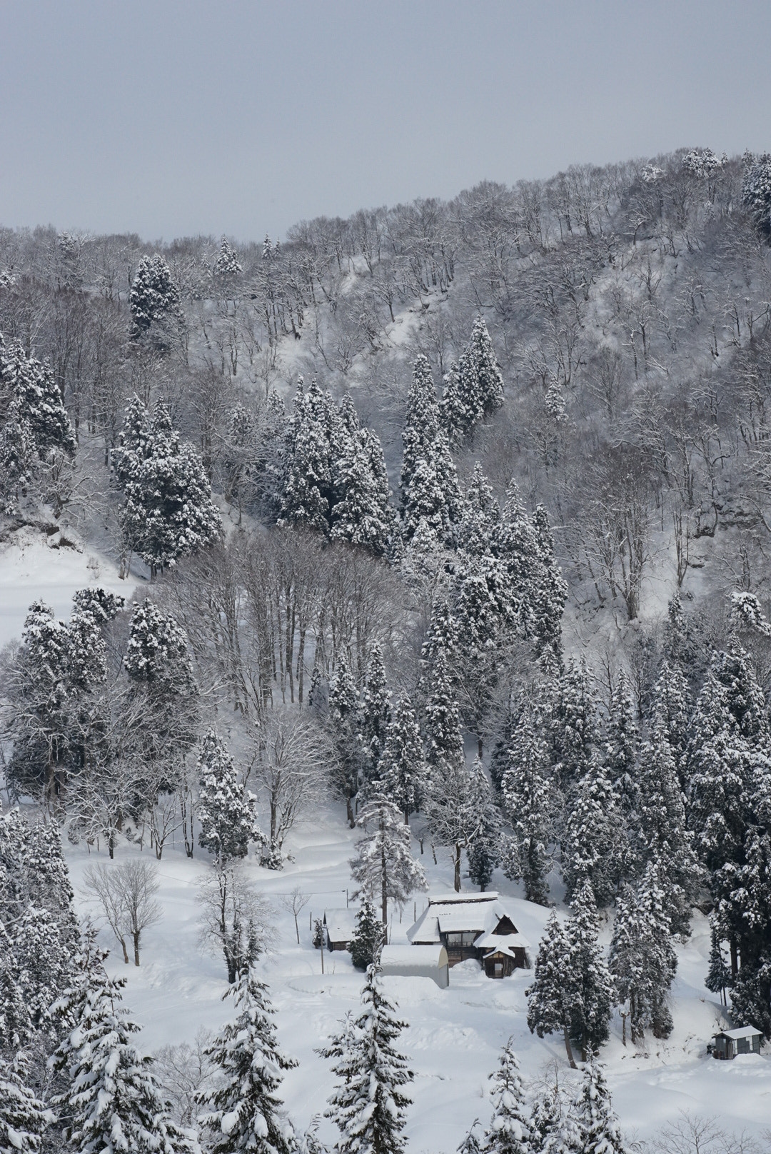 Canon EF 300mm F2.8L IS II USM sample photo. White photography