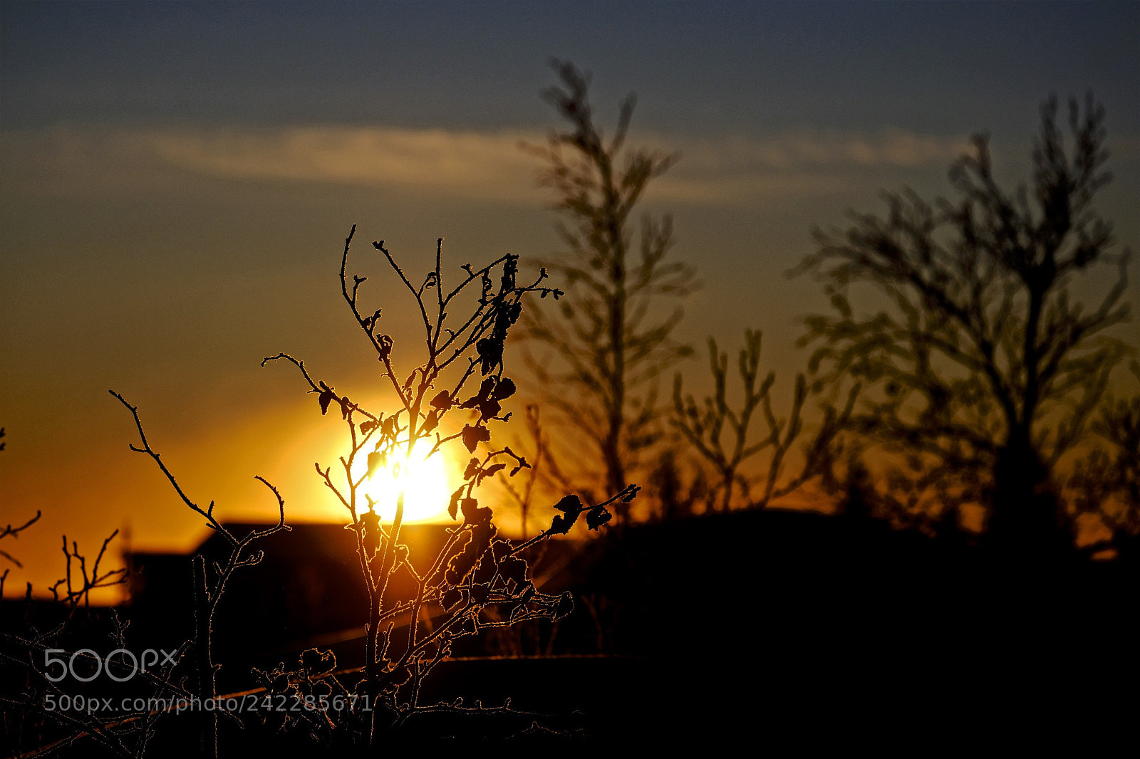 Fujifilm X-T2 sample photo. Yellowknife photography