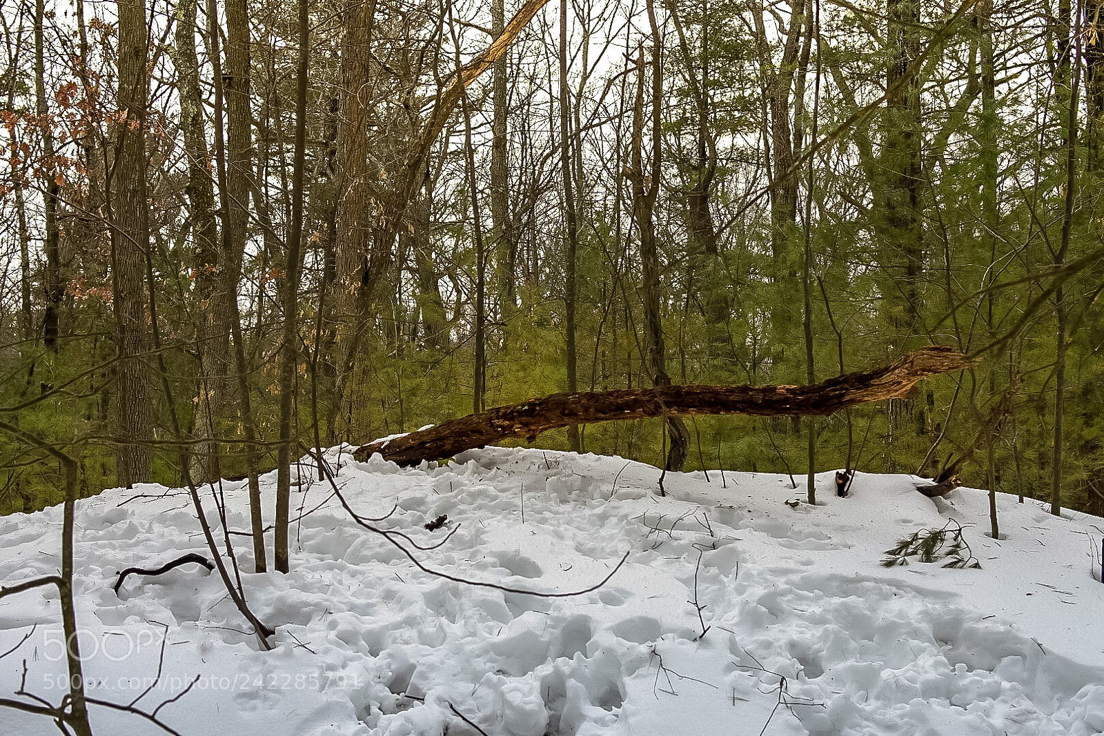 Nikon D7200 sample photo. Just looked weird photography