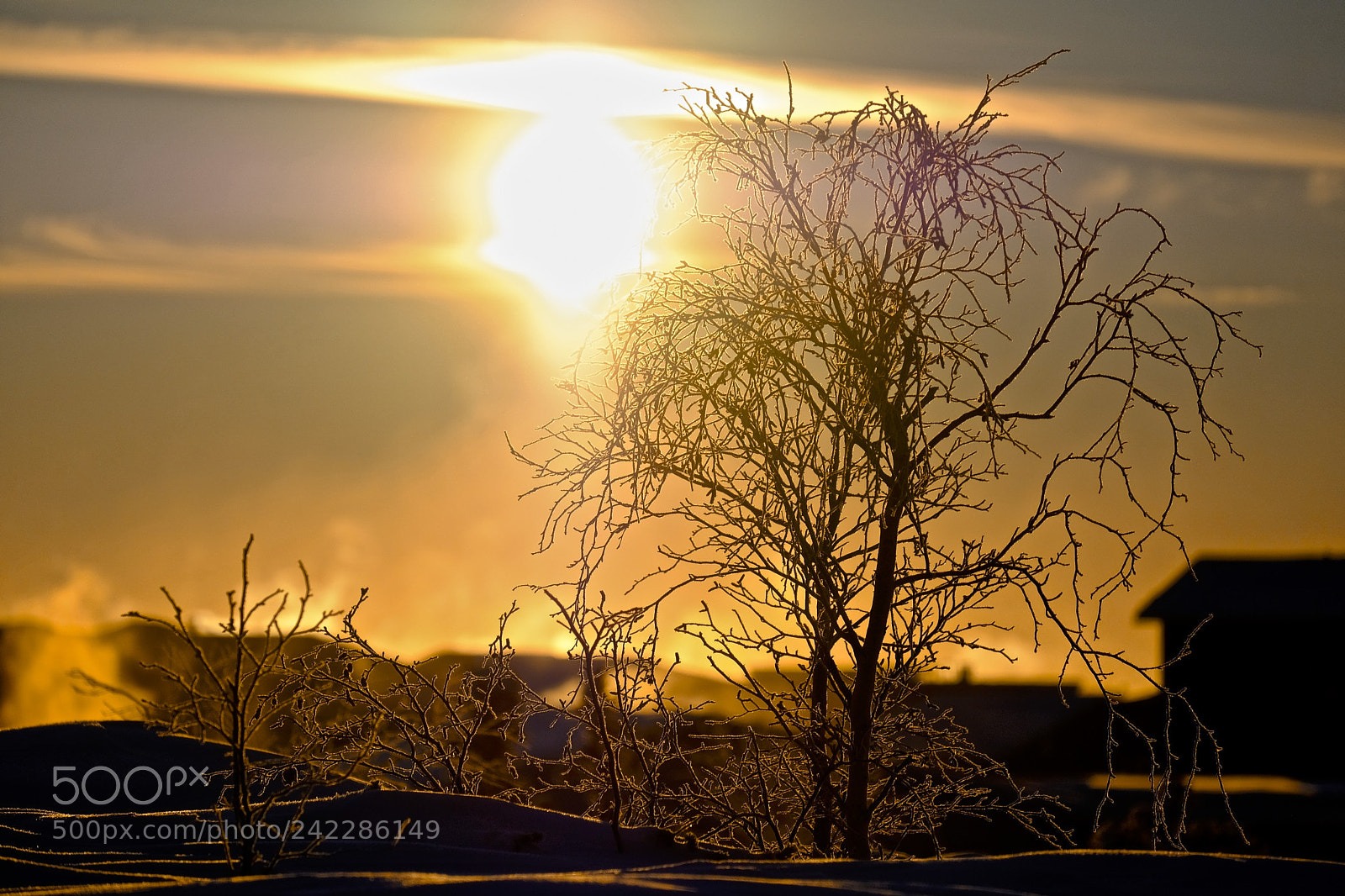Fujifilm X-T2 sample photo. Yellowknife photography
