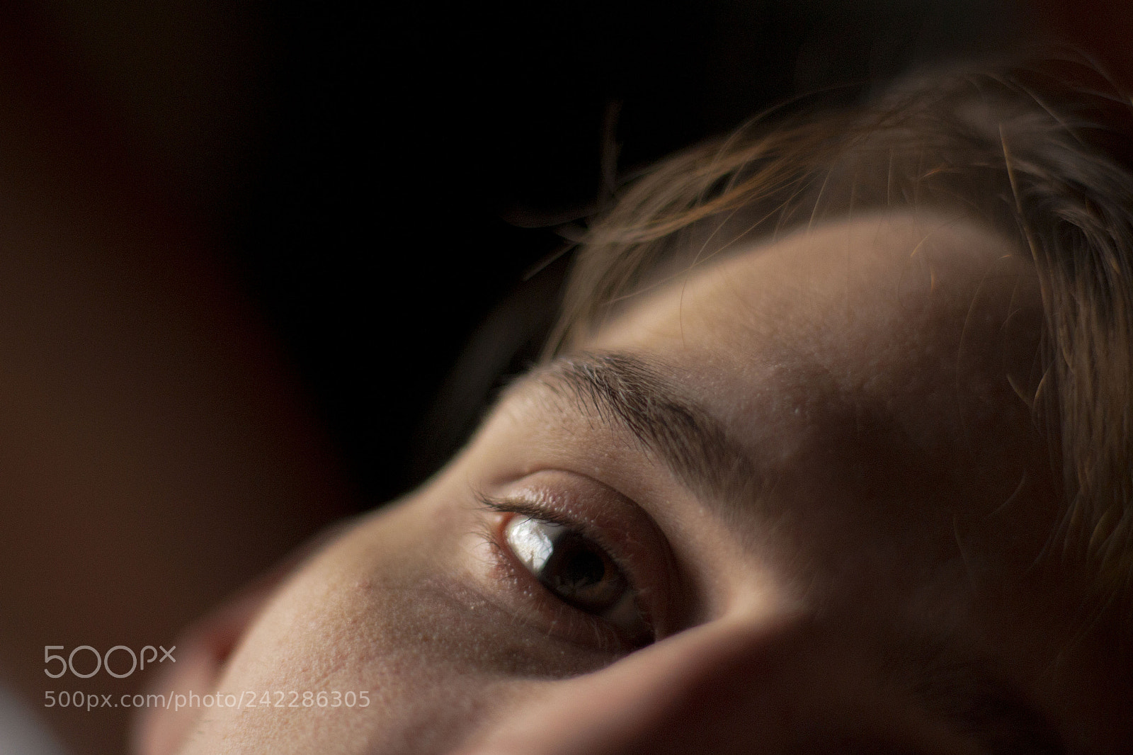 Canon EOS 700D (EOS Rebel T5i / EOS Kiss X7i) sample photo. Wake up photography