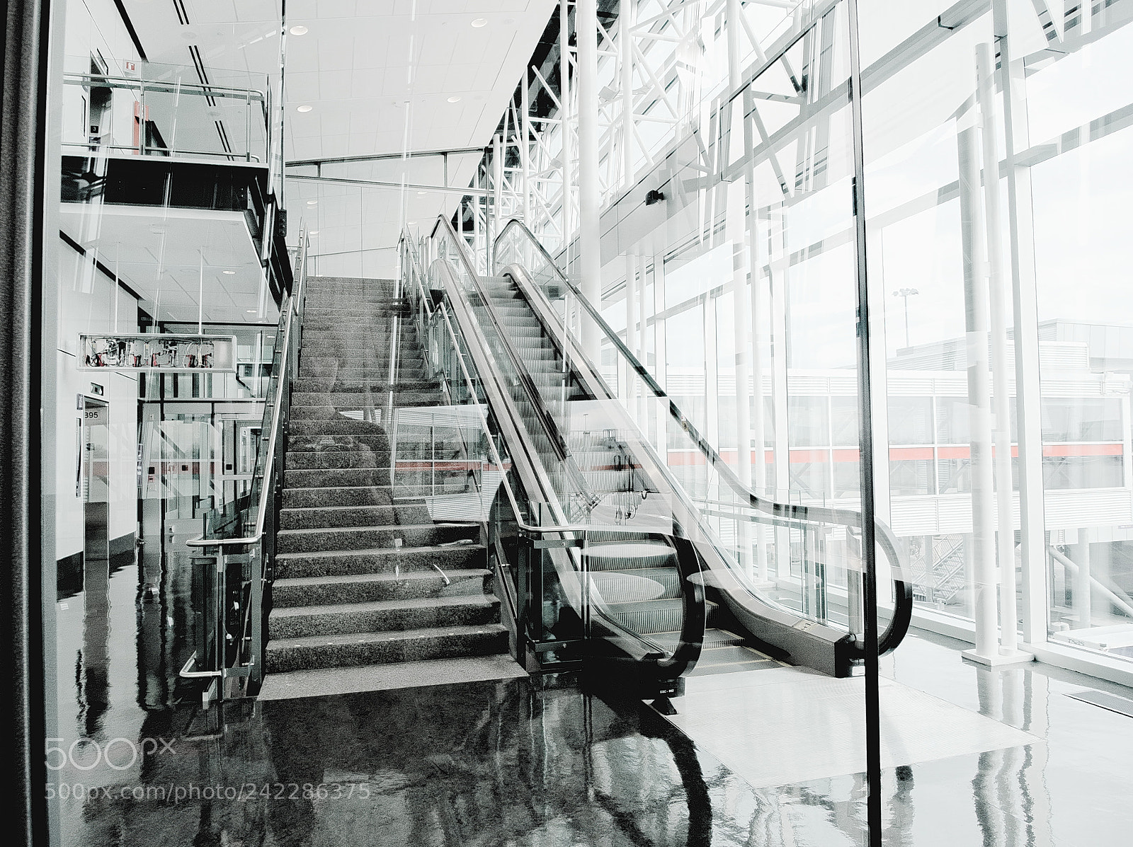 Olympus OM-D E-M5 sample photo. Cage de verre glass photography