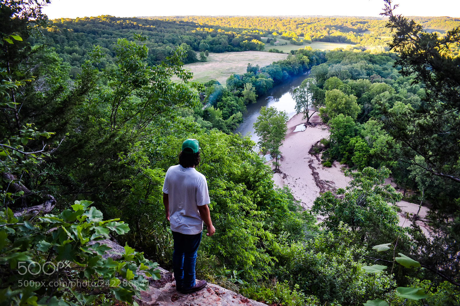 Nikon D3400 sample photo. The world below photography