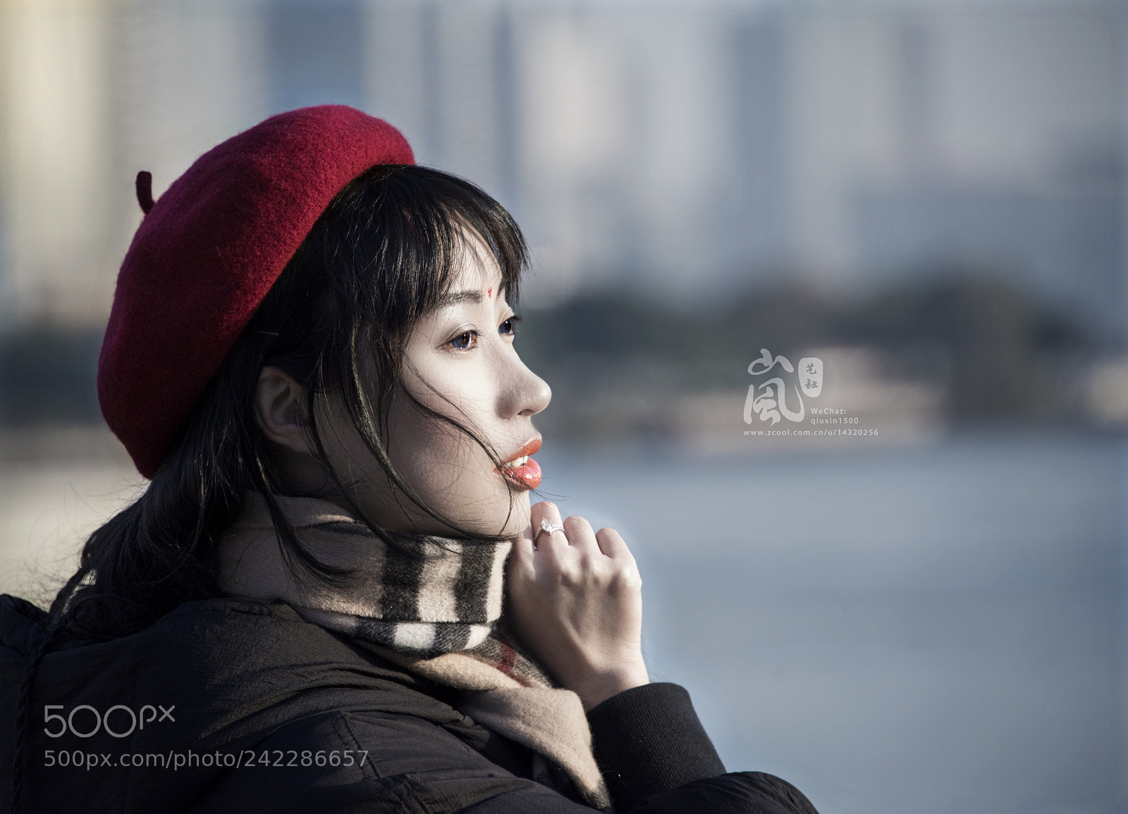 Nikon D810 sample photo. Warm winter photography