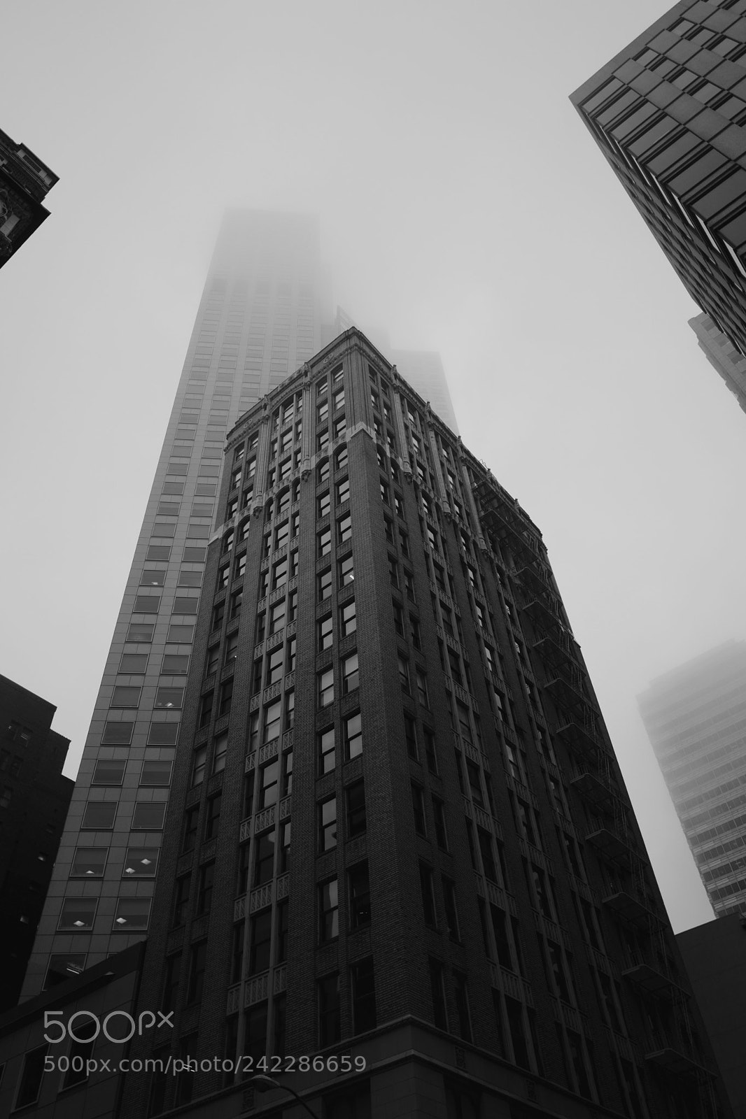 Leica Q (Typ 116) sample photo. A foggy morning in photography