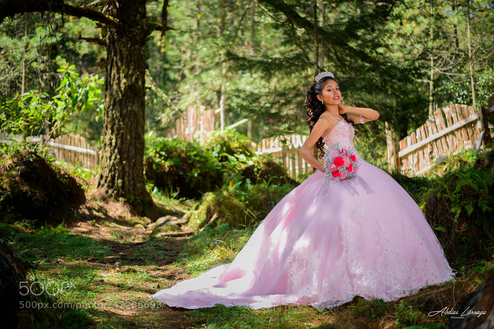 Nikon D810 sample photo. Princess photography