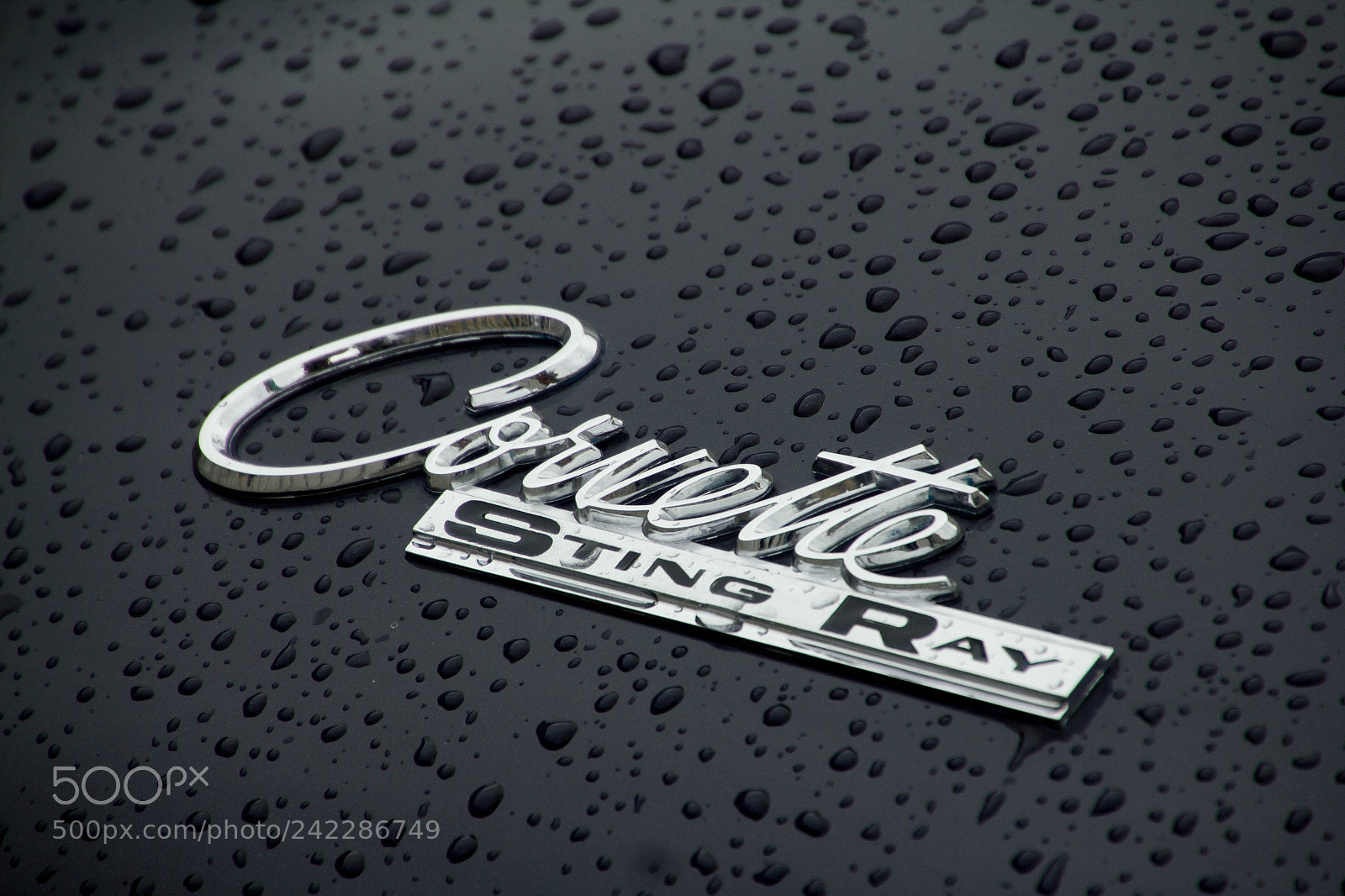 Canon EOS 550D (EOS Rebel T2i / EOS Kiss X4) sample photo. Timeless photography
