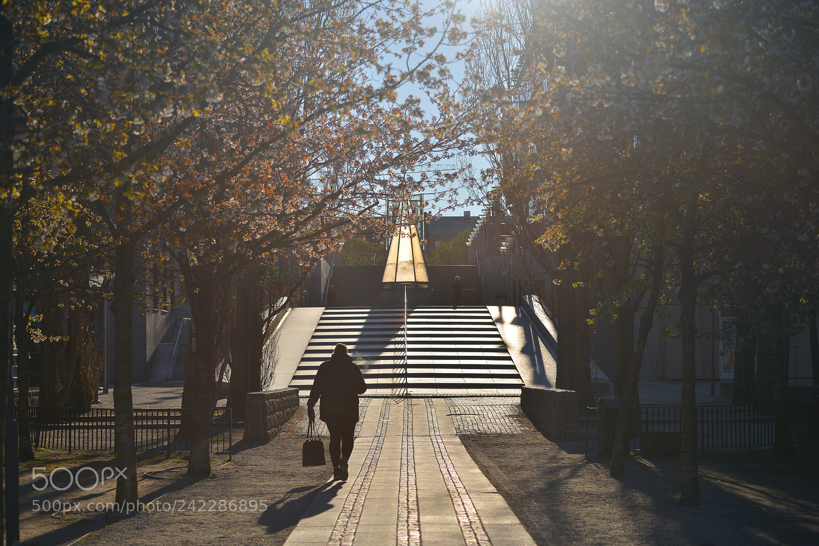 Nikon D800 sample photo. Stockholm sweden in early photography