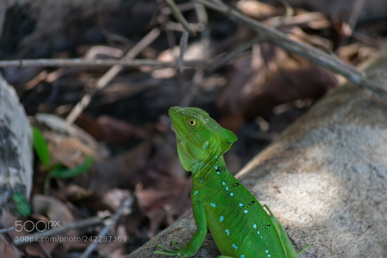 Nikon D3400 sample photo. Jdd photography