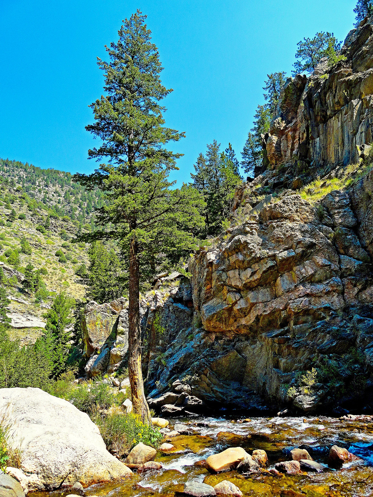 Sony Cyber-shot DSC-H70 sample photo. Big thompson canyon pre photography