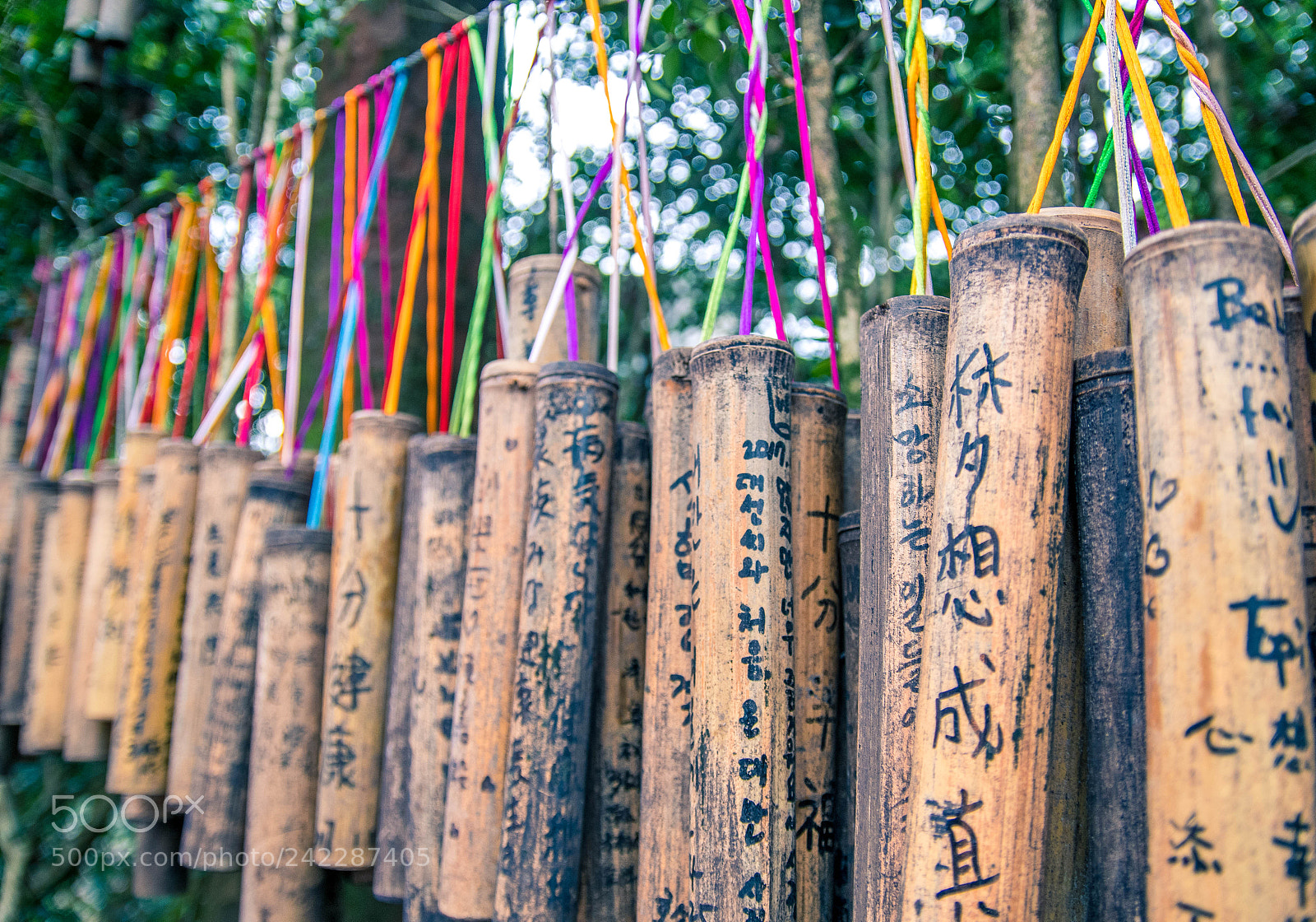 Nikon D500 sample photo. Street photography photography