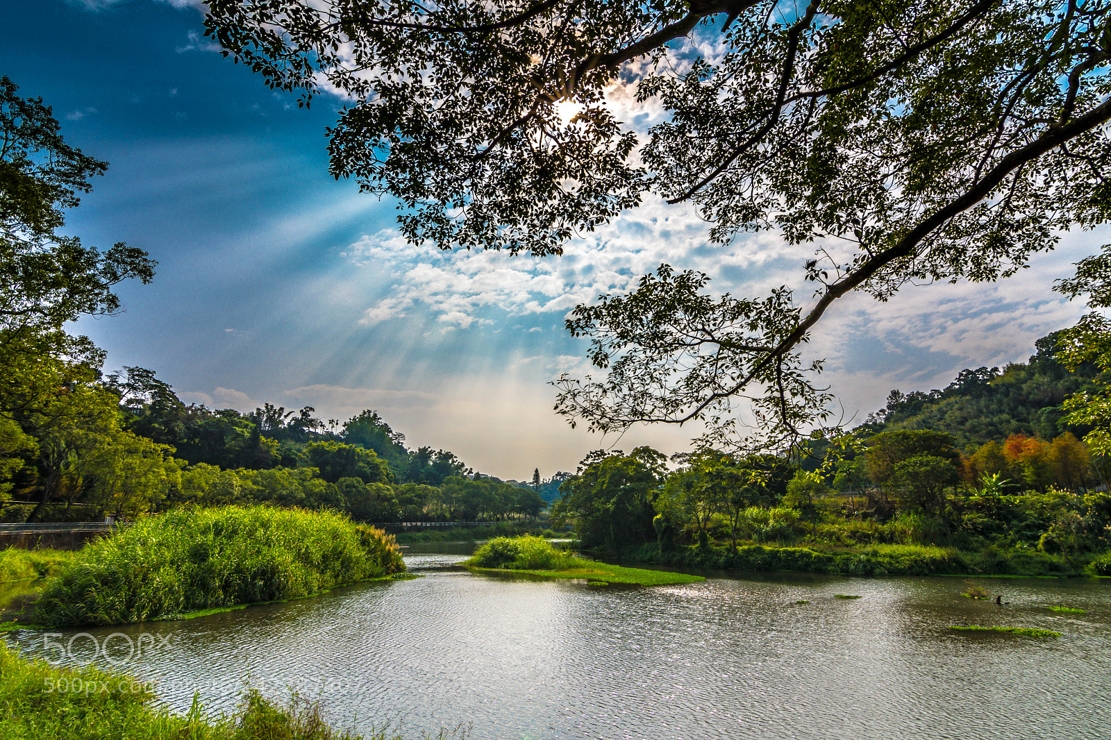Nikon D500 sample photo. Beautiful lakeside garden photography