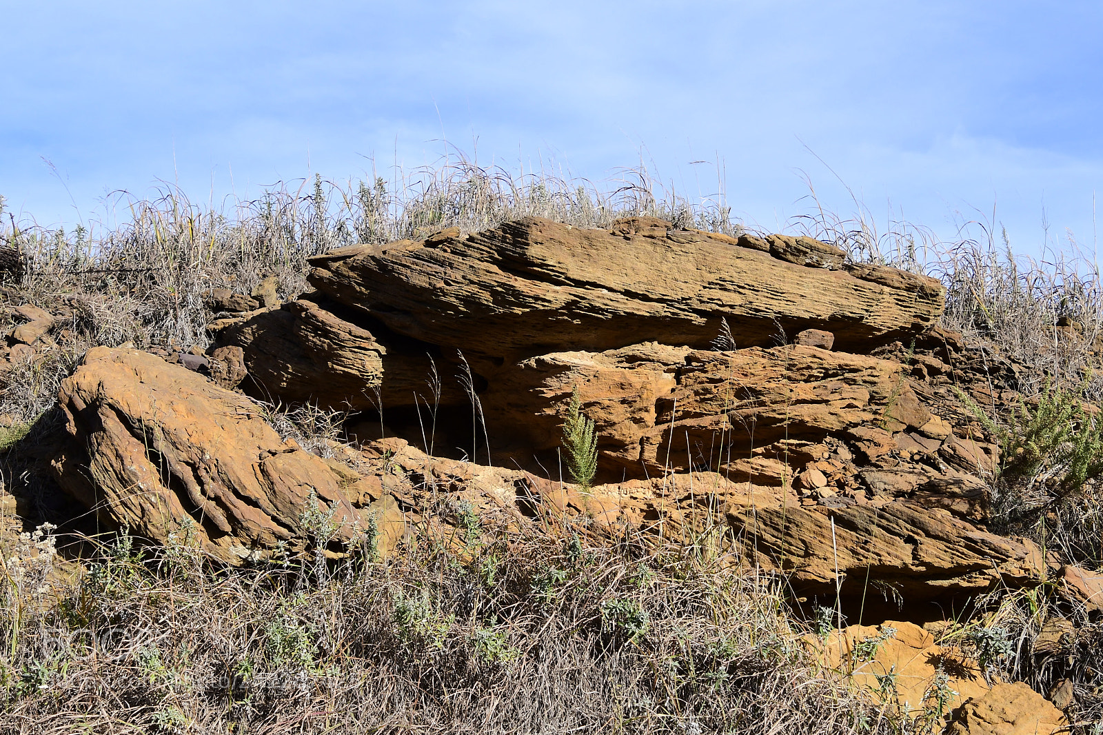 Nikon D500 sample photo. Oklahoma back country photography