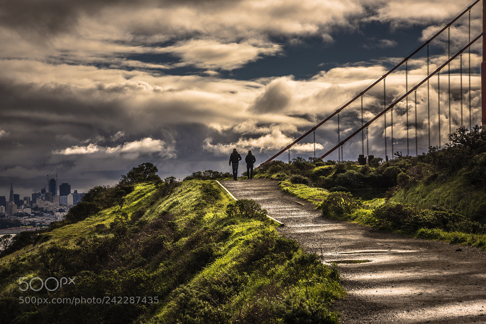 Nikon D810 sample photo. Golden gate bridge trail photography