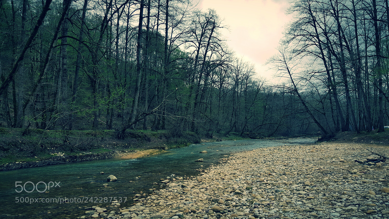 Samsung Galaxy Note5 sample photo. Soroush nasiri photography