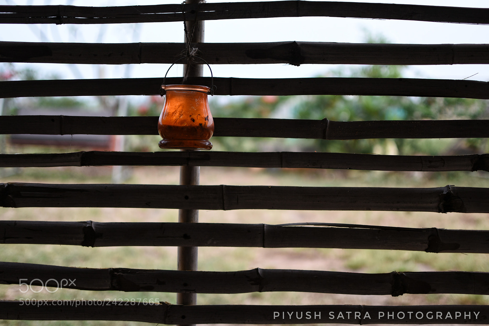 Nikon D5500 sample photo. Lamp photography