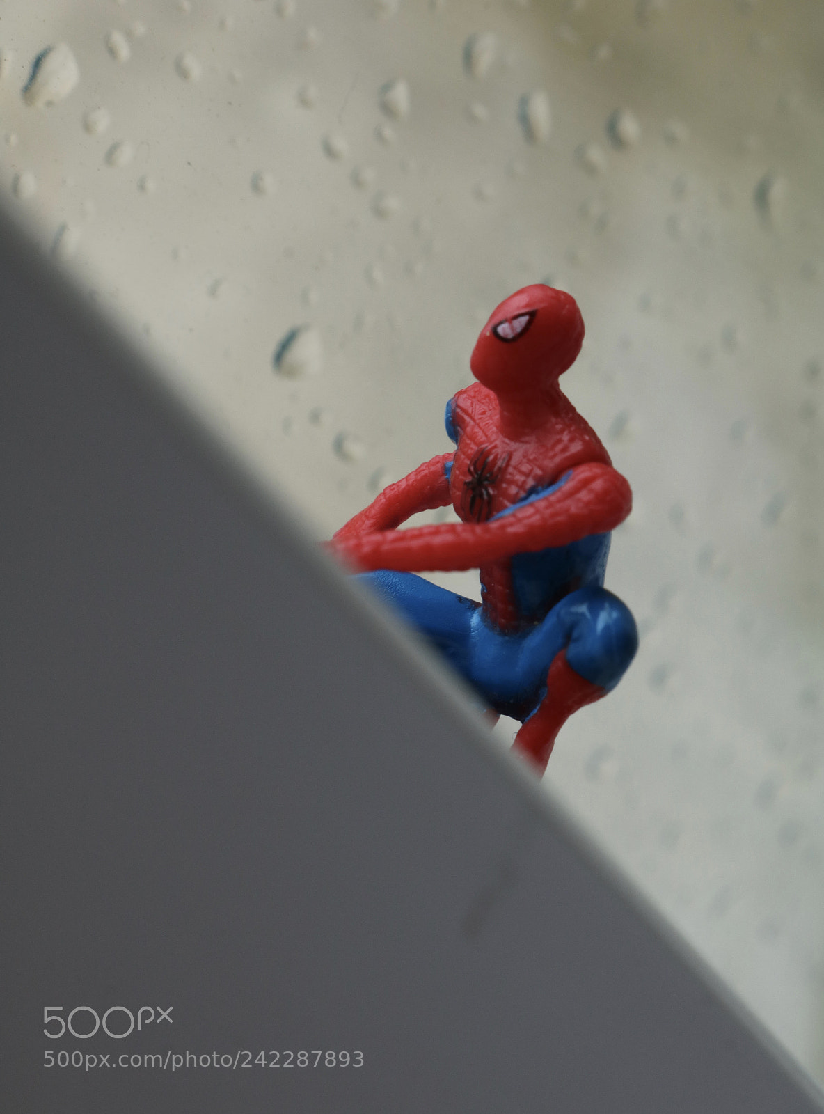 Canon EOS 750D (EOS Rebel T6i / EOS Kiss X8i) sample photo. Spider man photography