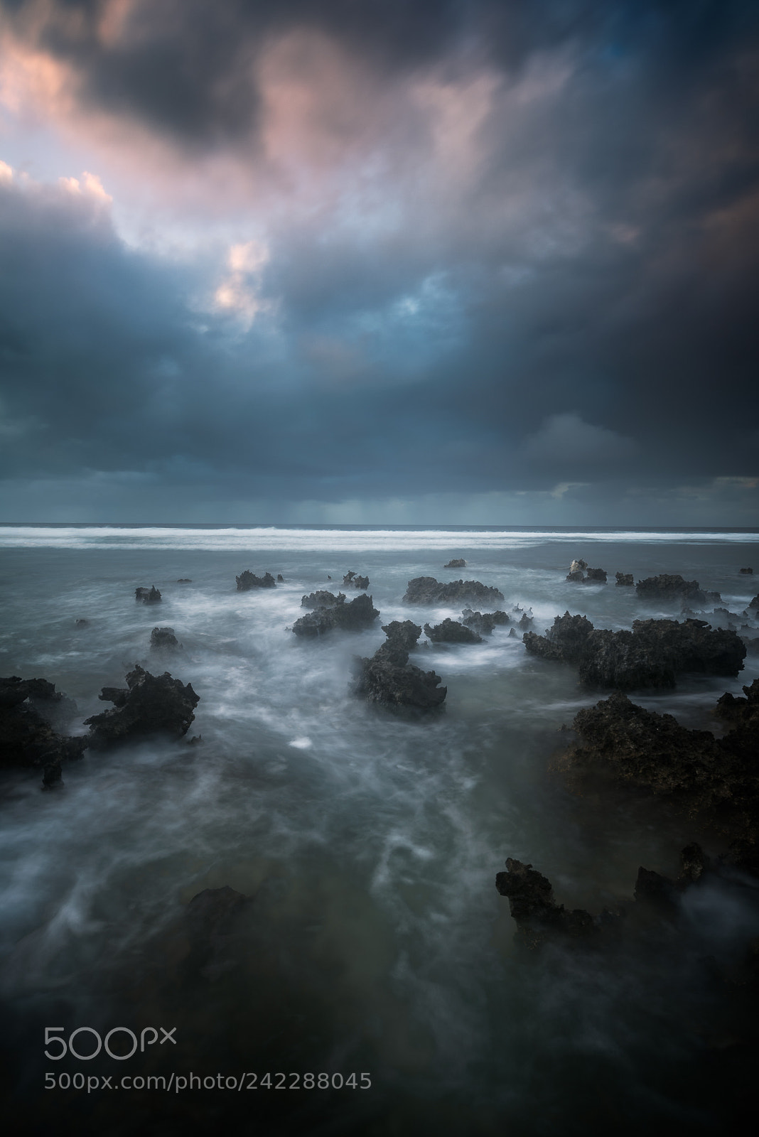 Nikon D810 sample photo. Demons of sea photography