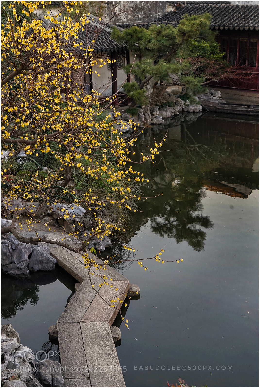 Sony a7 sample photo. Chinese garden photography