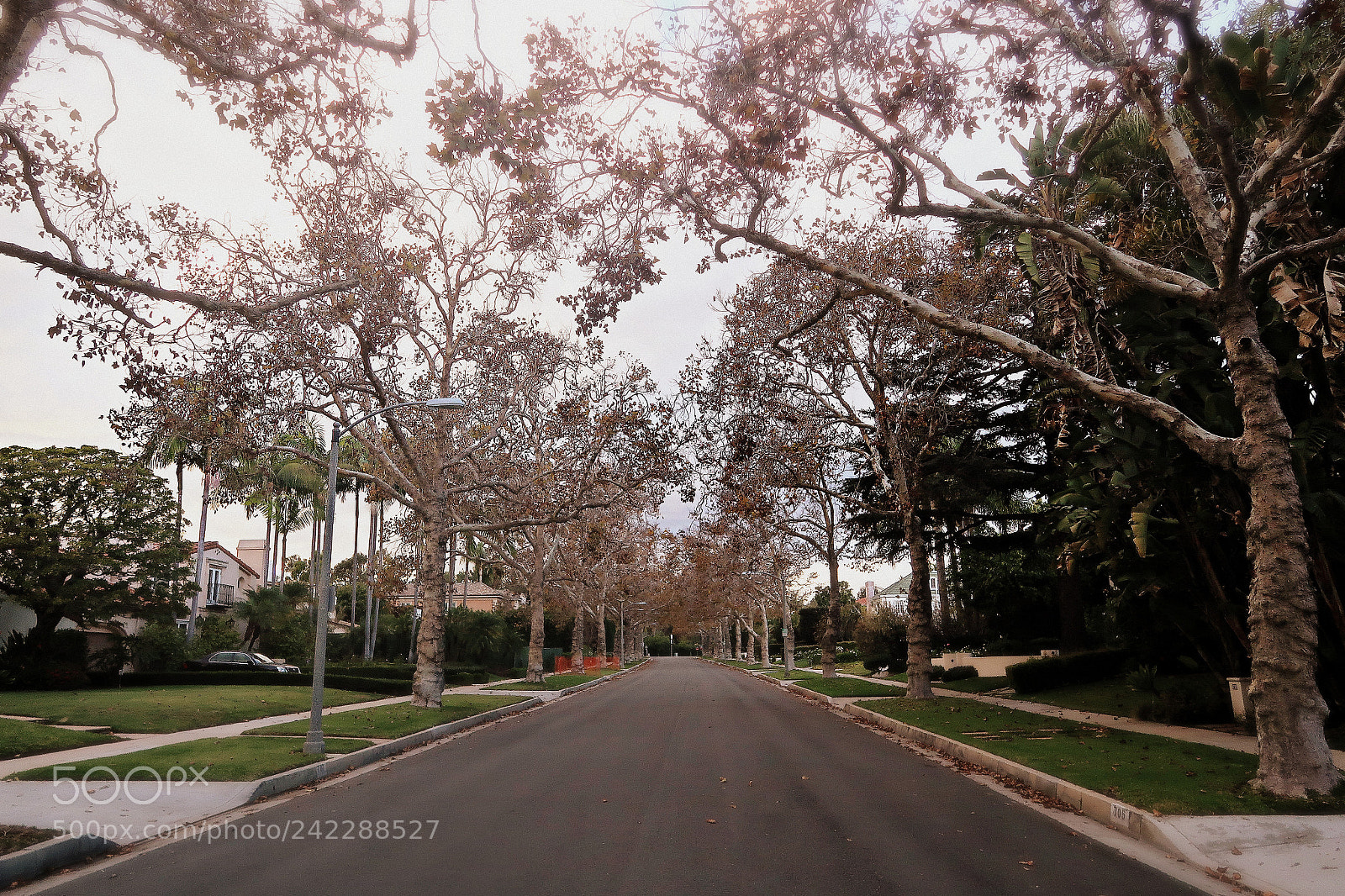 Canon PowerShot G7 X Mark II sample photo. Streets of la photography