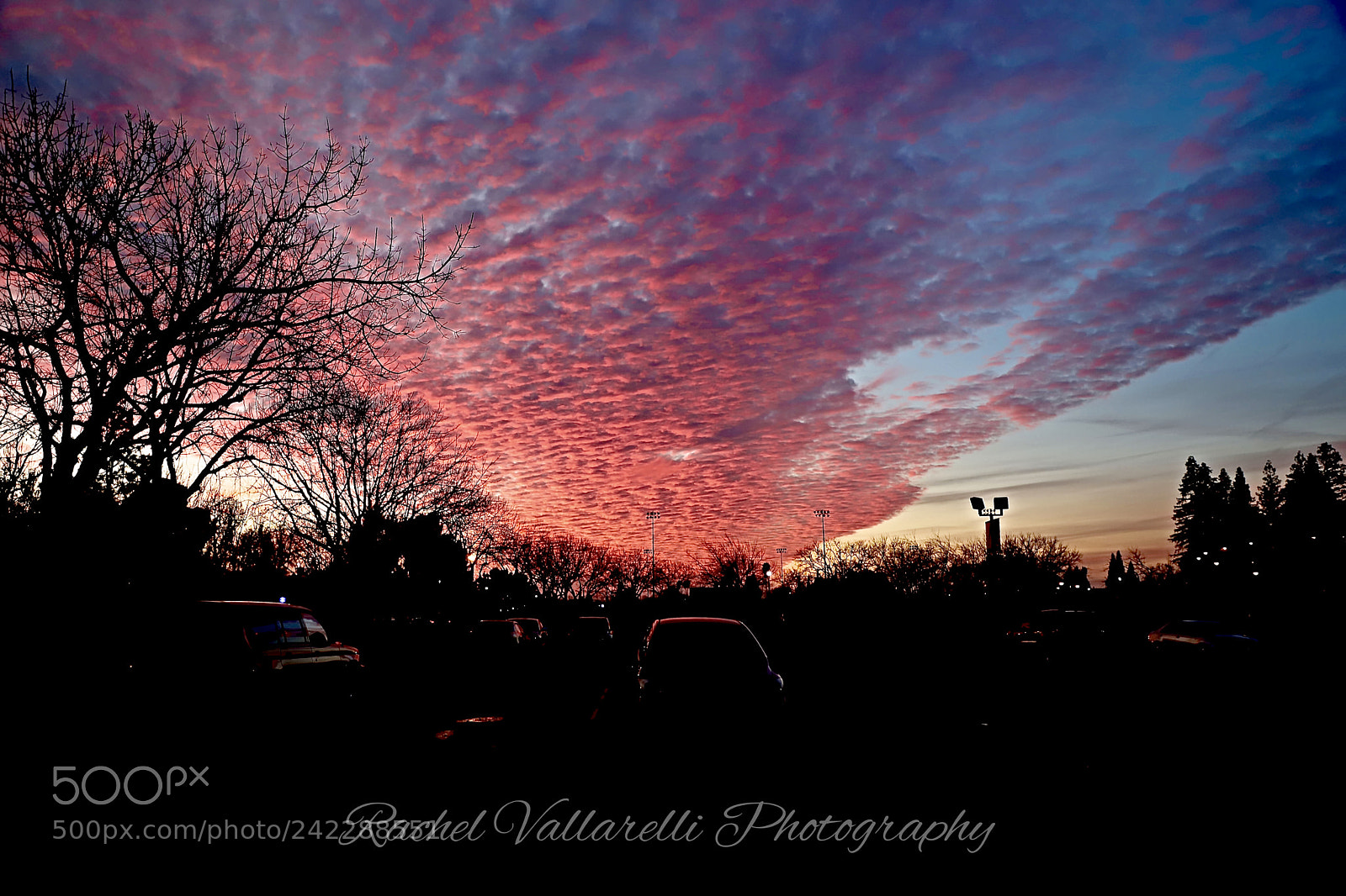 Canon EOS 6D Mark II sample photo. Fresno cotton candy sky photography