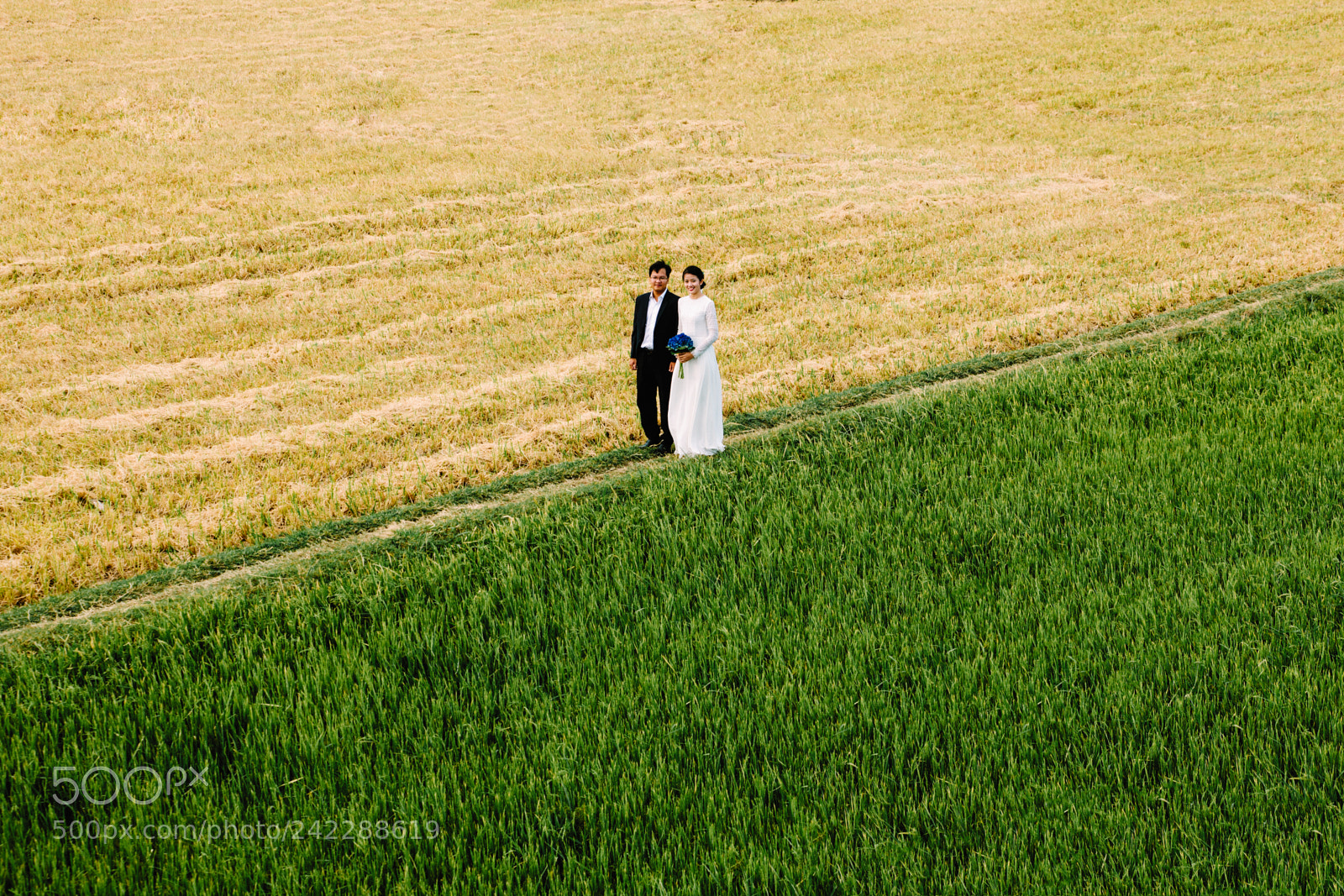 Canon EOS-1Ds Mark III sample photo. Love photography