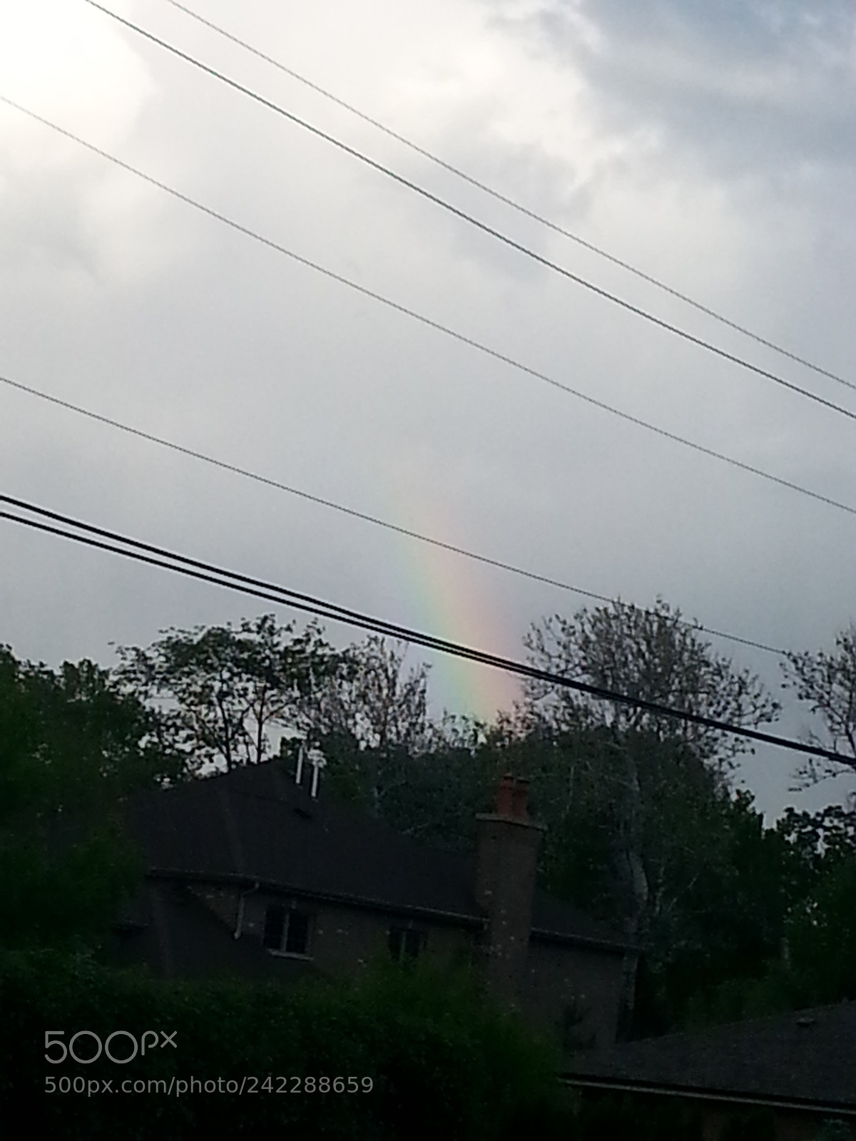 Samsung Galaxy S3 sample photo. Untitled photography