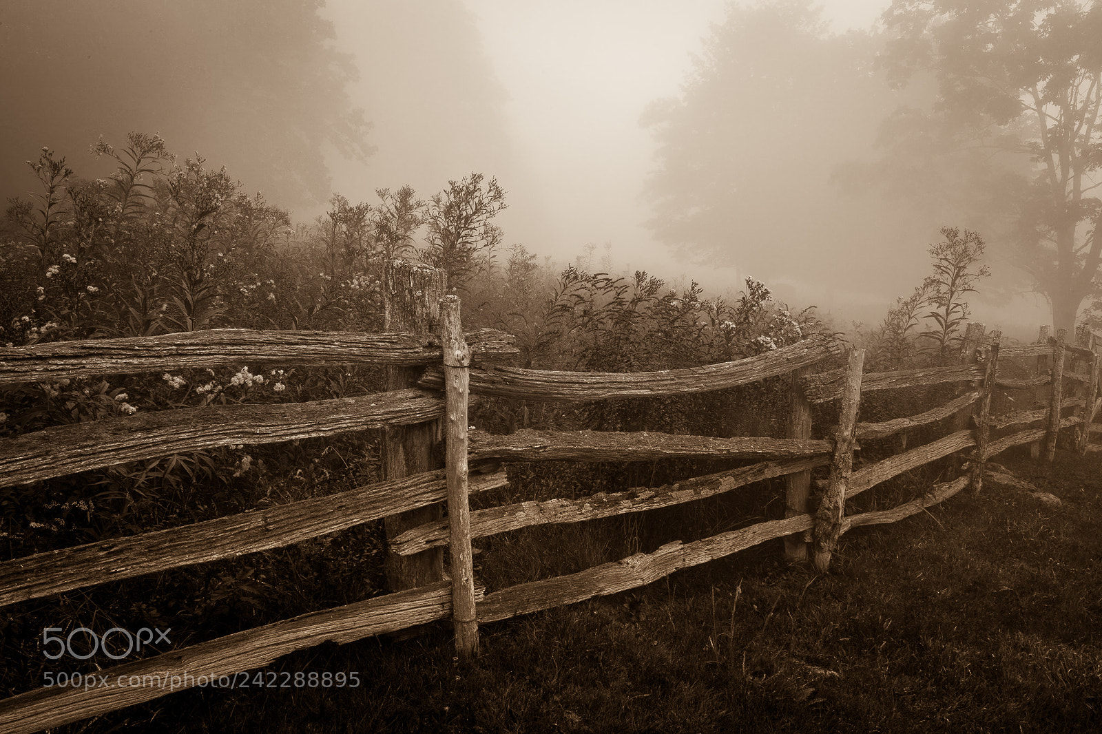 Canon EOS 5D sample photo. Old fence photography