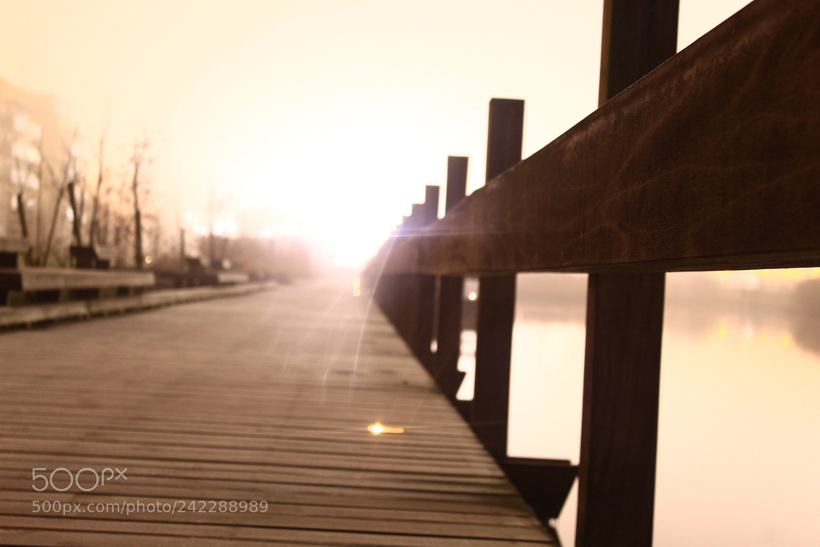 Canon EF-S 18-55mm F3.5-5.6 III sample photo. Bridge photography