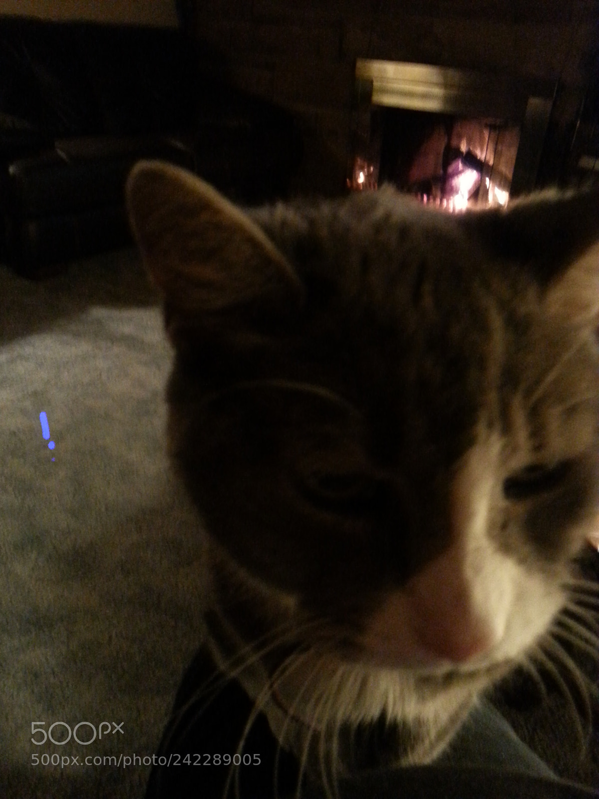 Samsung Galaxy S3 sample photo. Untitled photography