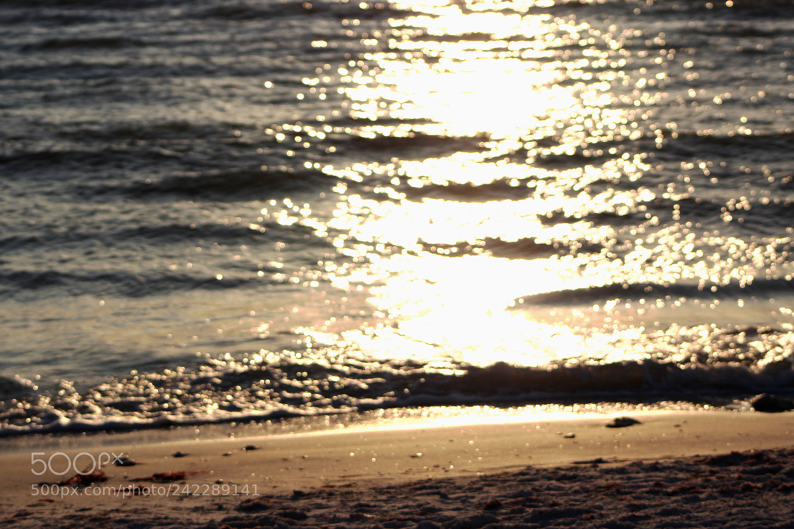 Canon EOS 1200D (EOS Rebel T5 / EOS Kiss X70 / EOS Hi) sample photo. Rippled sun photography