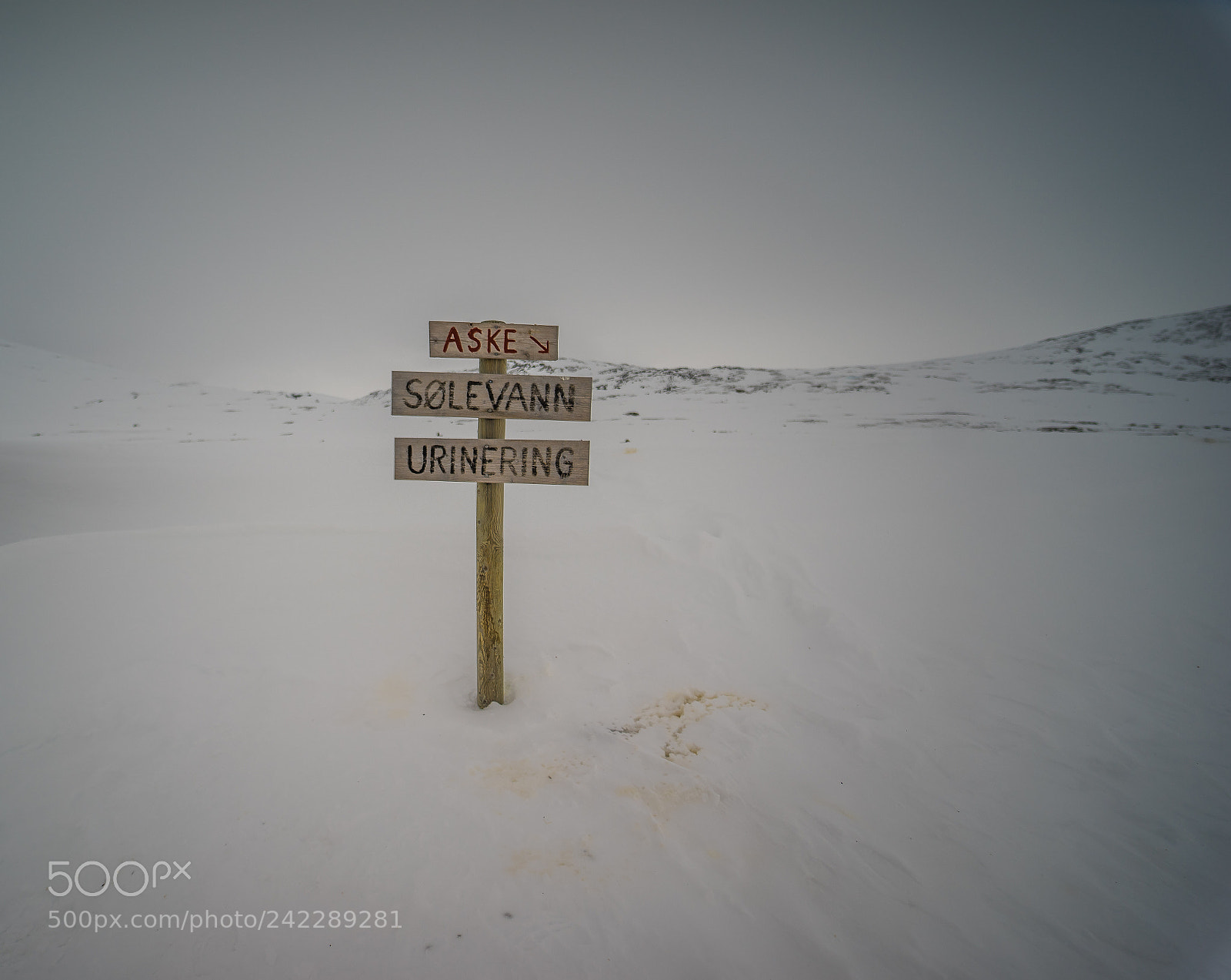 Sony a7 II sample photo. Norwegian sign photography
