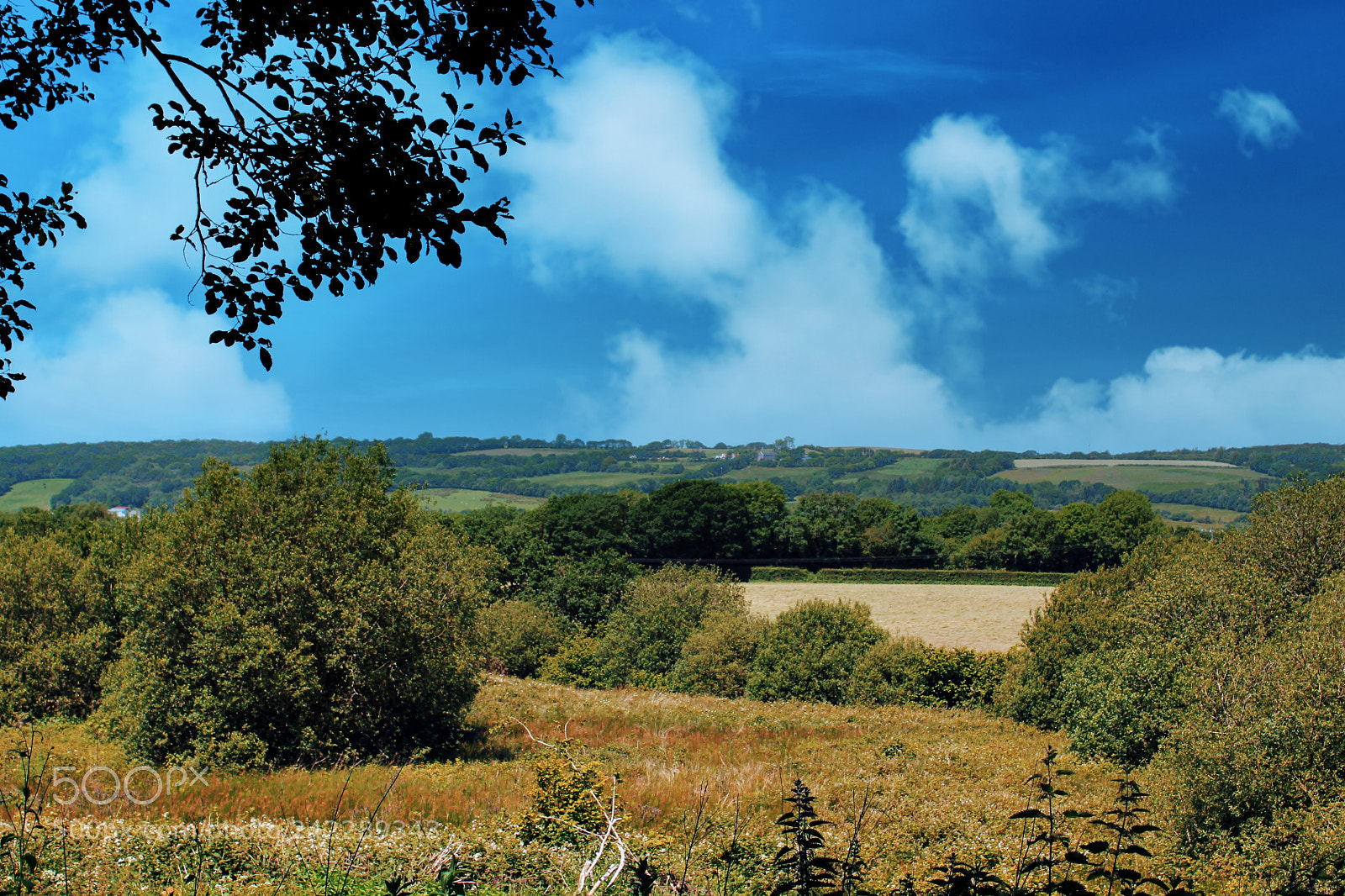 Canon EOS 1100D (EOS Rebel T3 / EOS Kiss X50) sample photo. I love the welsh photography