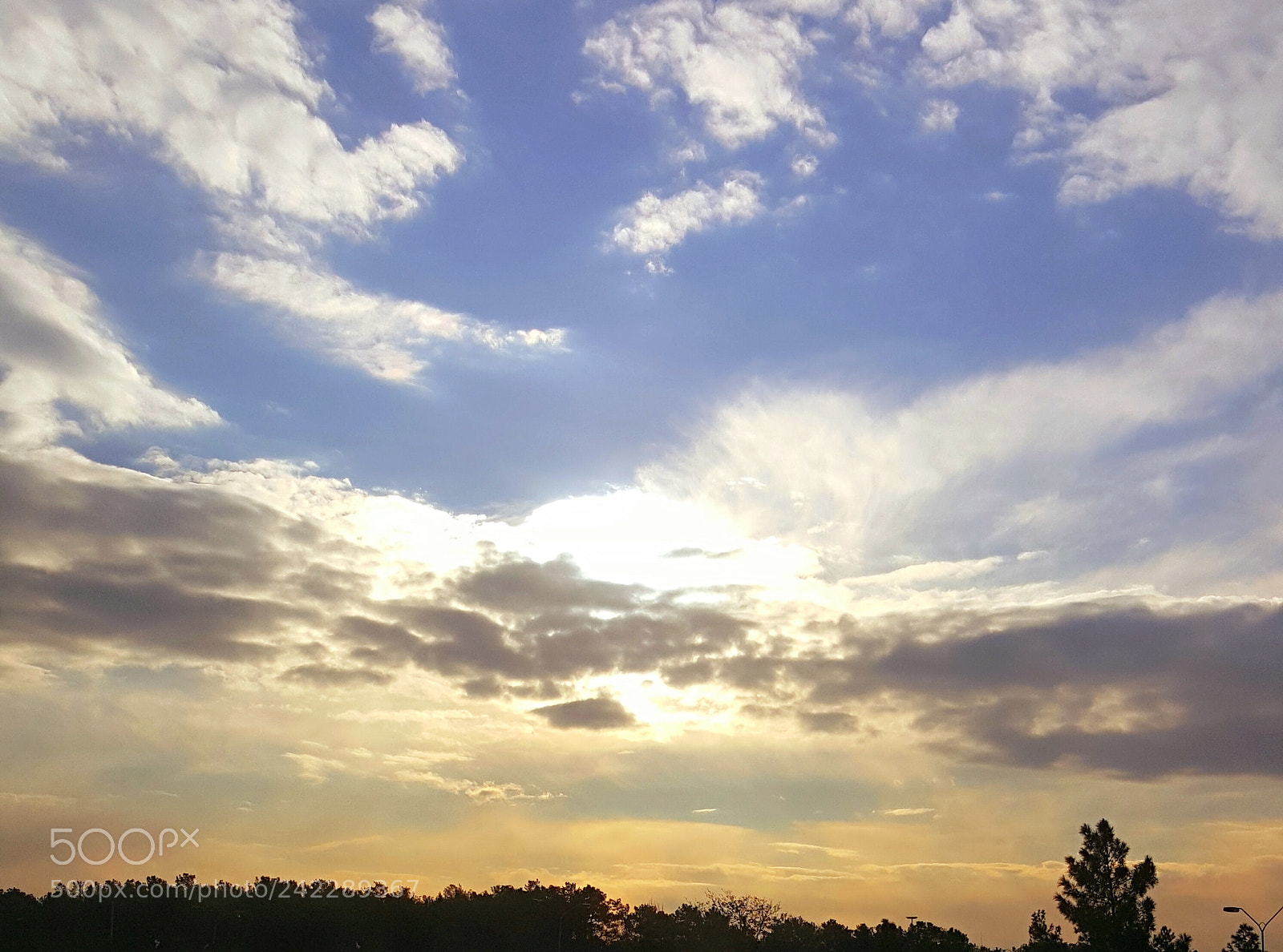 Samsung Galaxy Note5 sample photo. Soroush nasiri photography