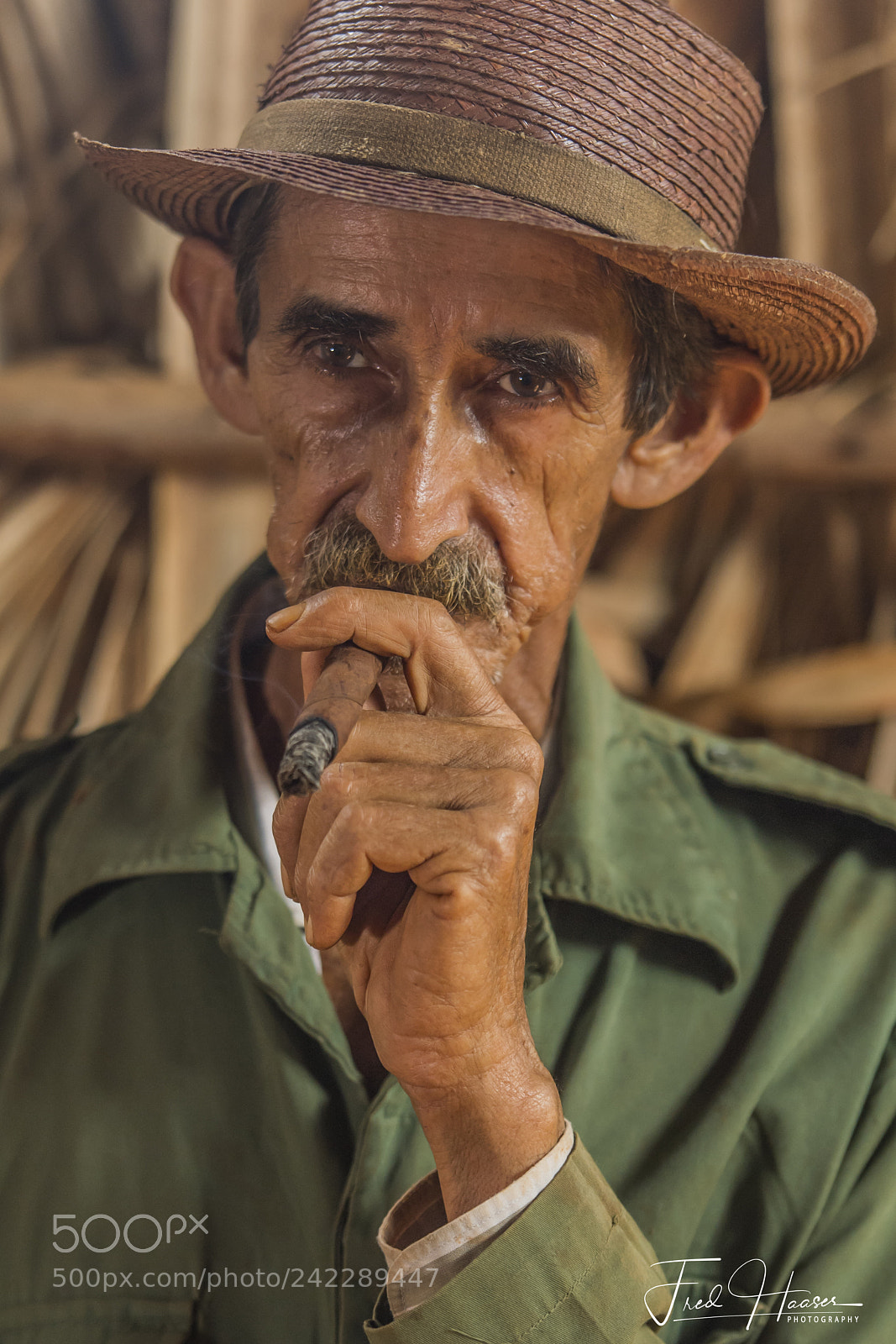 Nikon D5 sample photo. Cuban tobacco farmer francisco photography