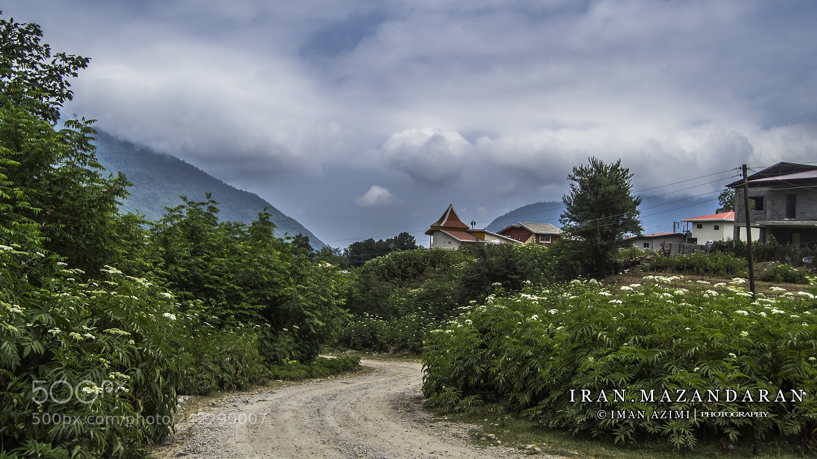 Nikon D3100 sample photo. Untitled photography