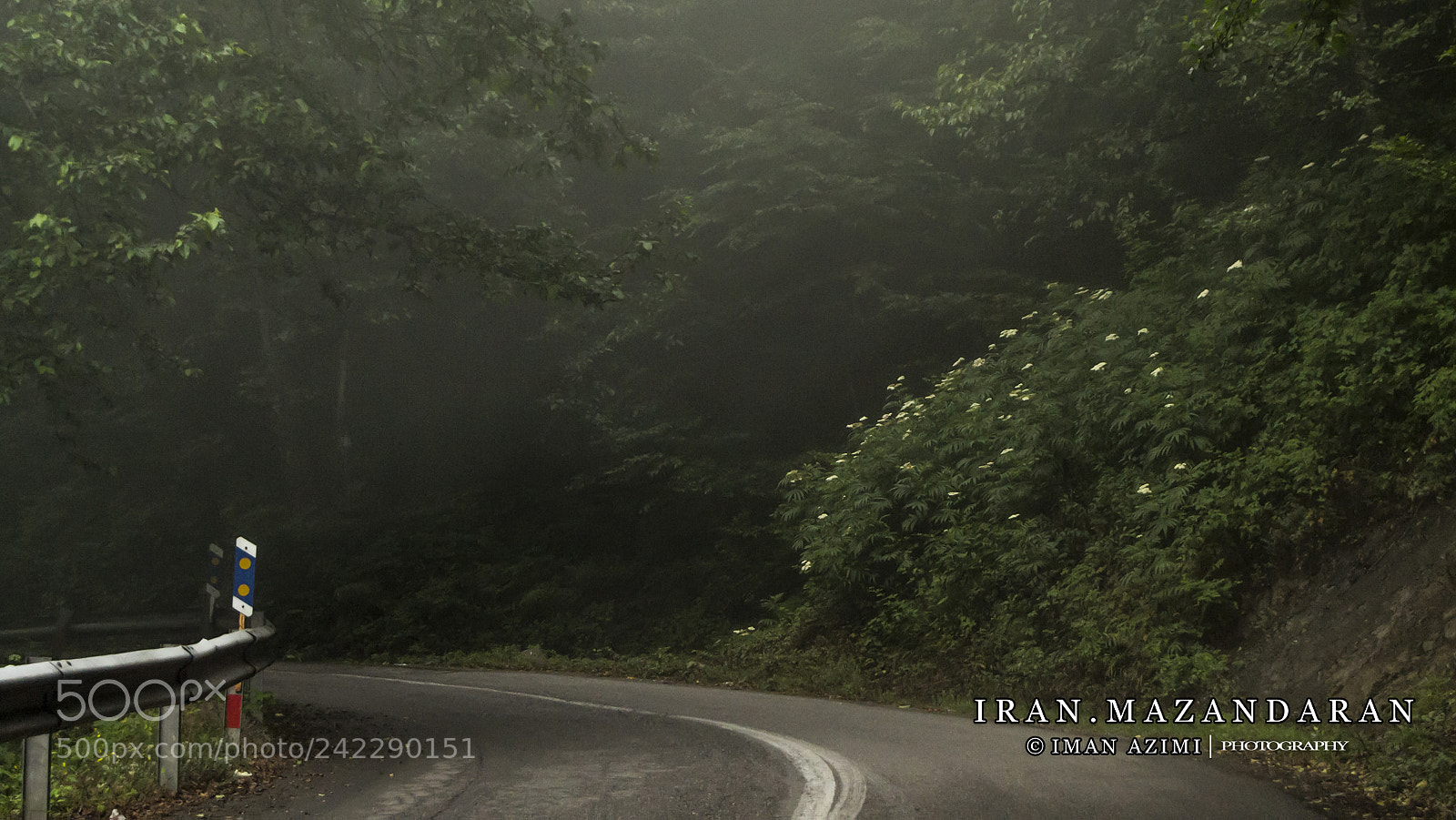 Nikon D3100 sample photo. Untitled photography