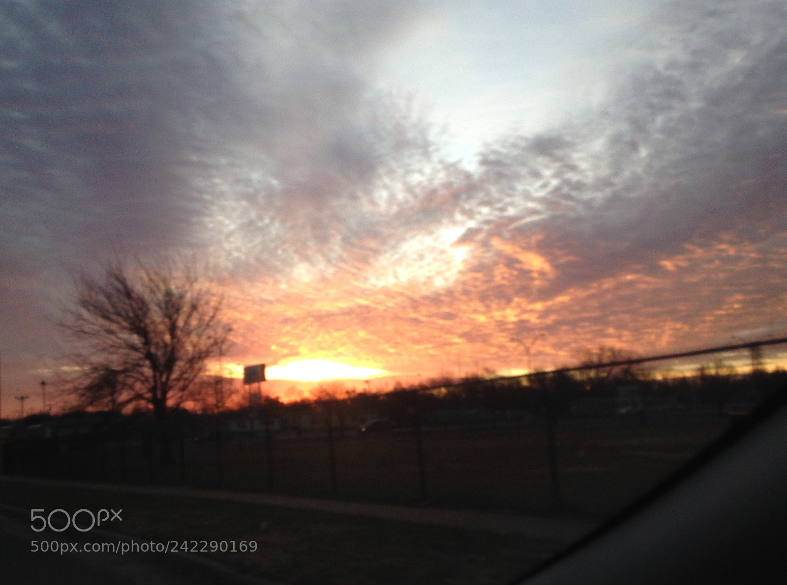 Apple iPhone 5c sample photo. Untitled photography