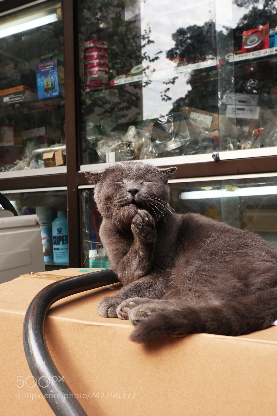 Canon EOS M6 sample photo. () photography