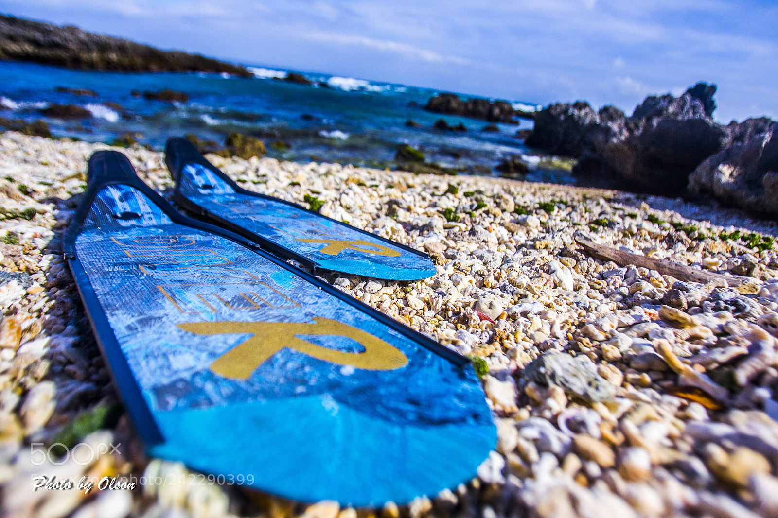 Canon EOS-1D Mark IV sample photo. Dive r photography