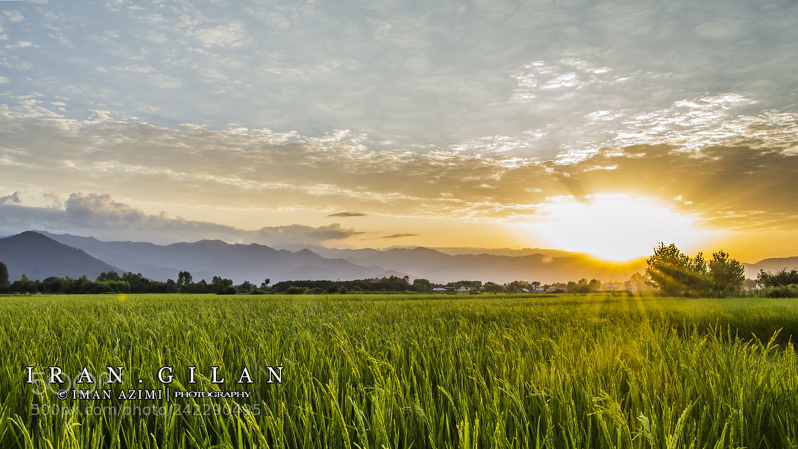 Nikon D3100 sample photo. Sunris photography