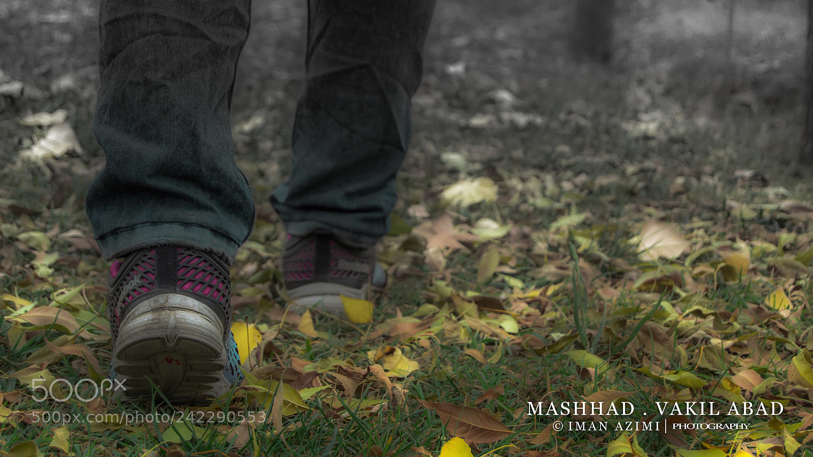 Nikon D3100 sample photo. Walk on the ... photography