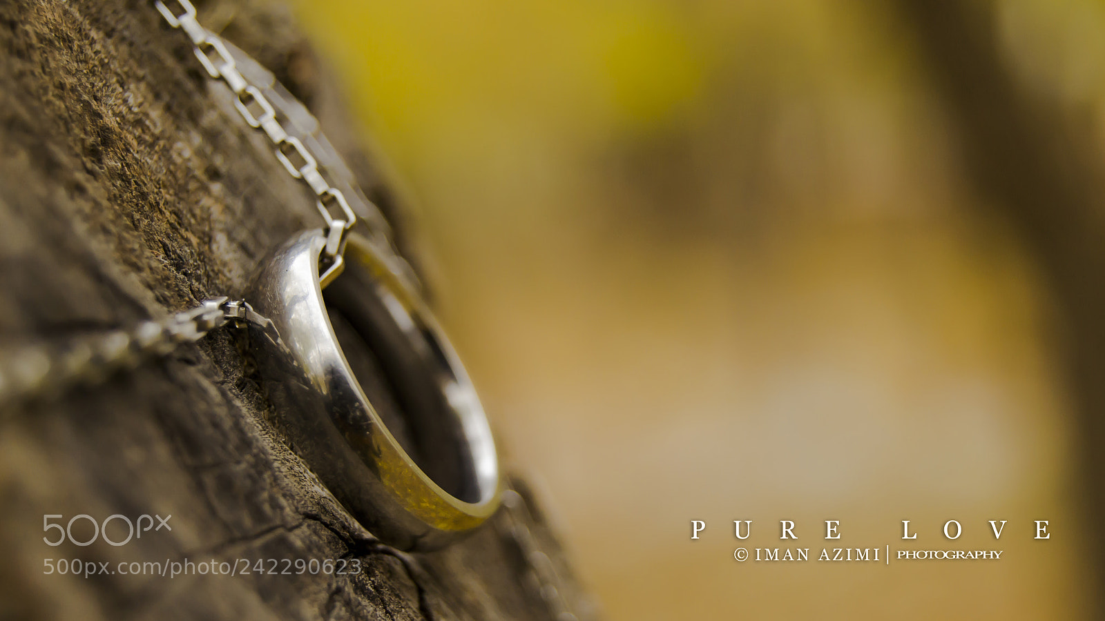 Nikon D3100 sample photo. Pure love photography