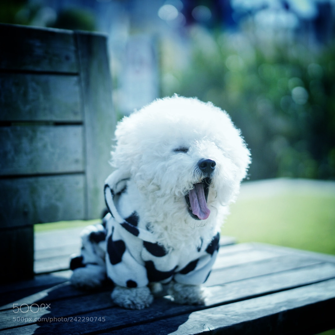 Sony a7 II sample photo. My baby is yawning photography