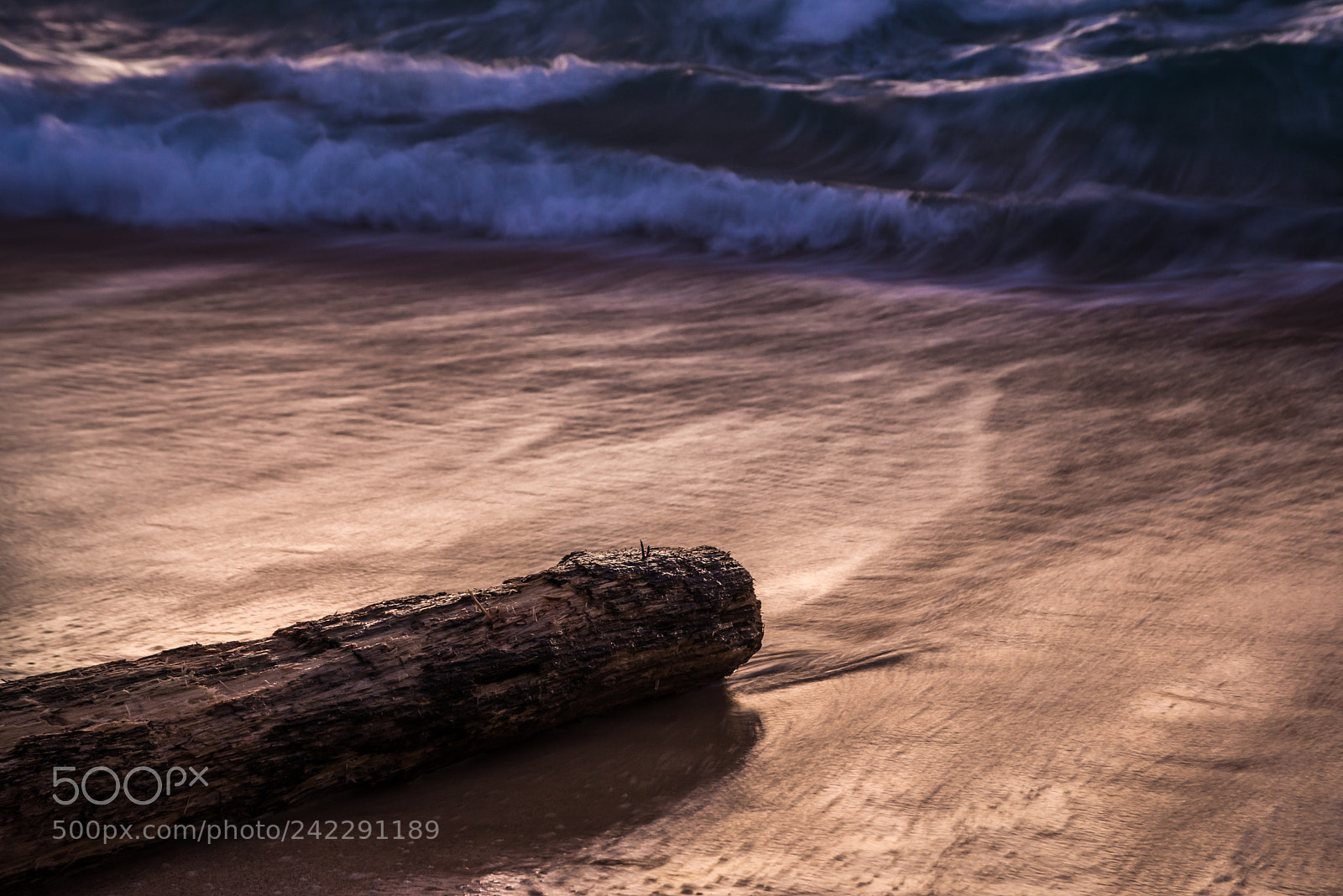 Nikon D600 sample photo. Tree and beach photography