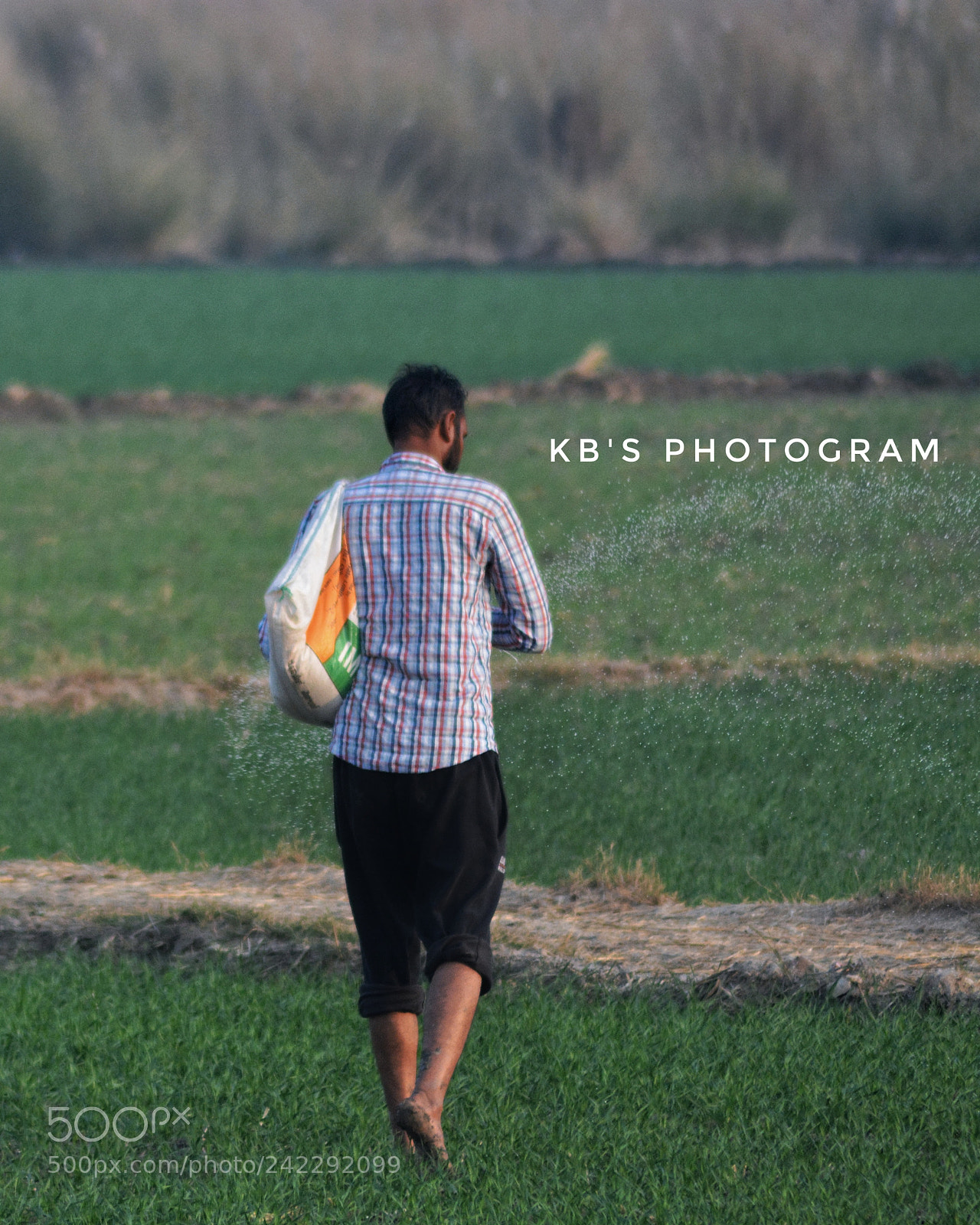 Nikon D5200 sample photo. Farmer broadcasting fertilizers by photography