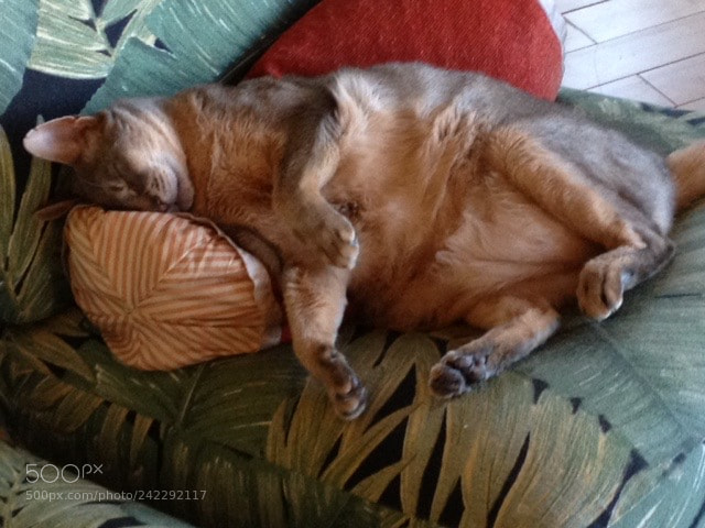 Apple iPhone 4S sample photo. Sleeping bubs photography