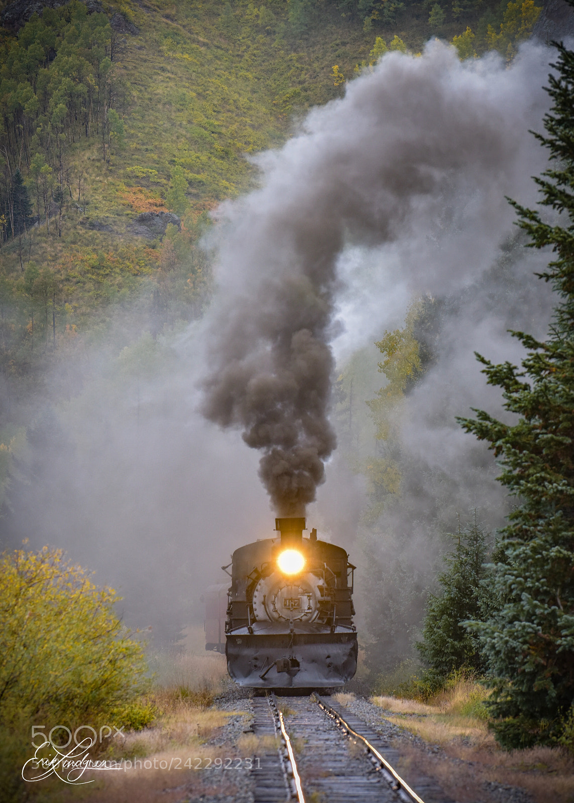 Nikon D810 sample photo. Untitled photography