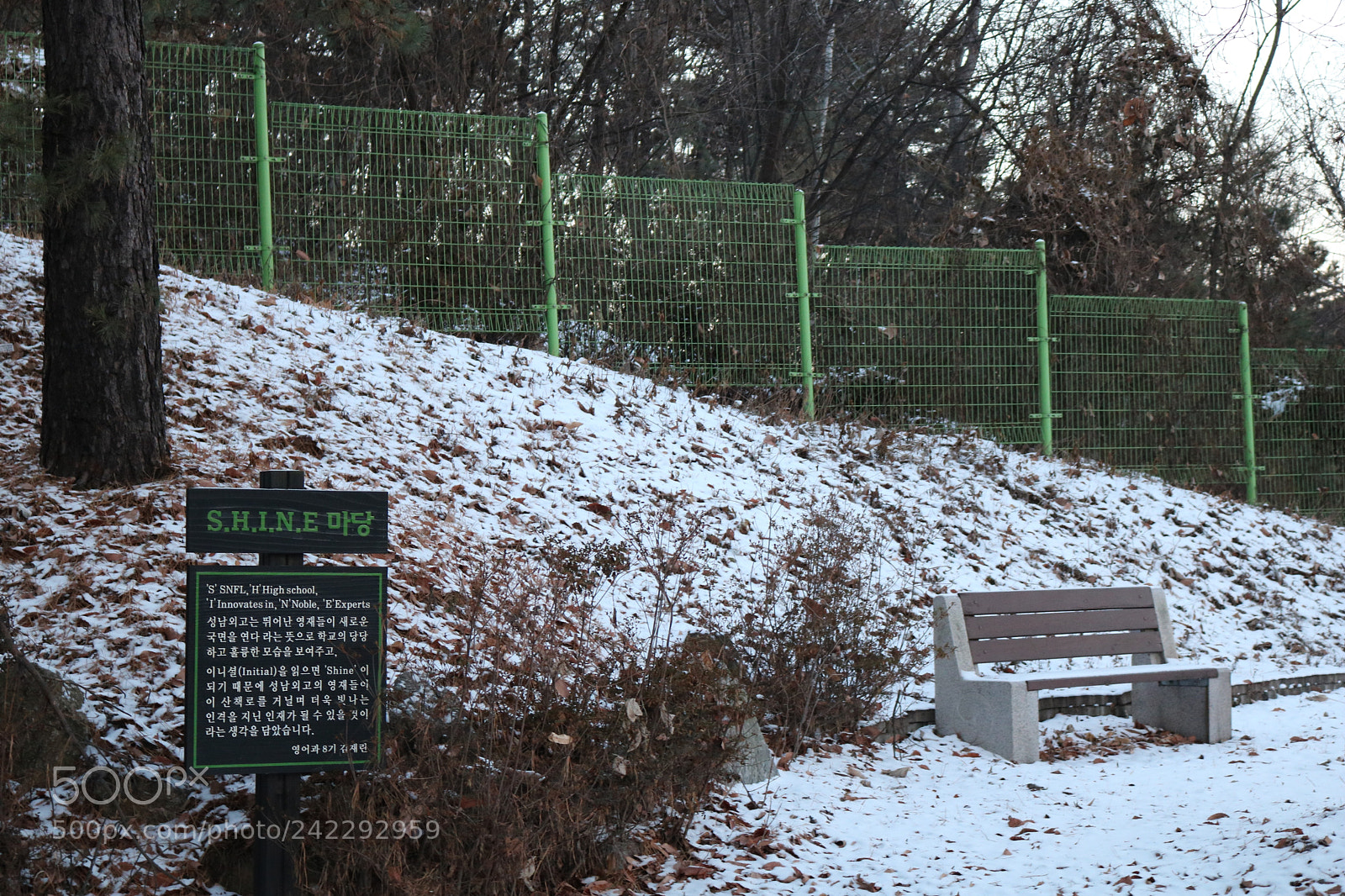 Canon EOS 750D (EOS Rebel T6i / EOS Kiss X8i) sample photo. Img photography